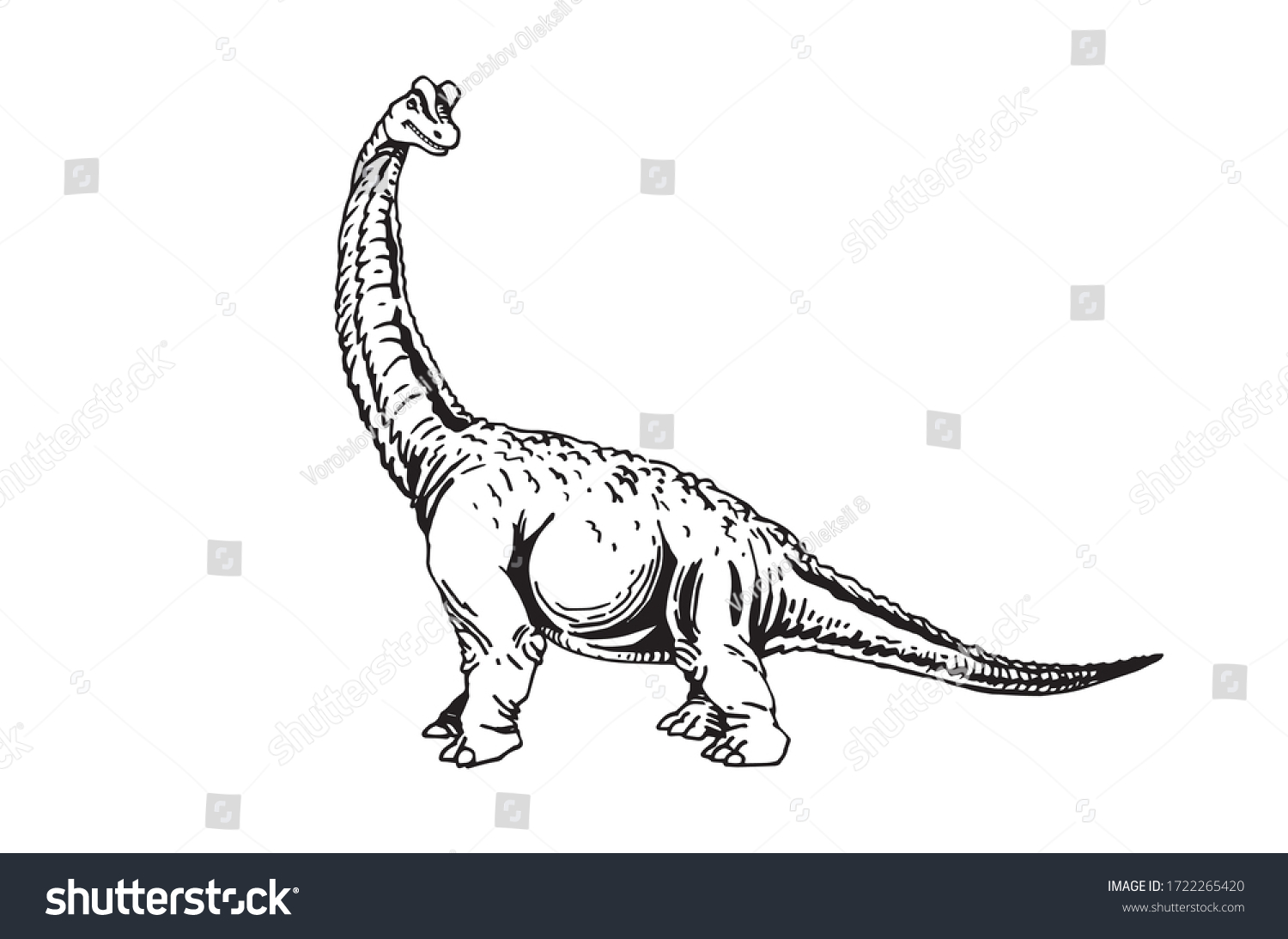 Graphical Sketch Brachiosaurus Isolated On White Stock Vector (Royalty