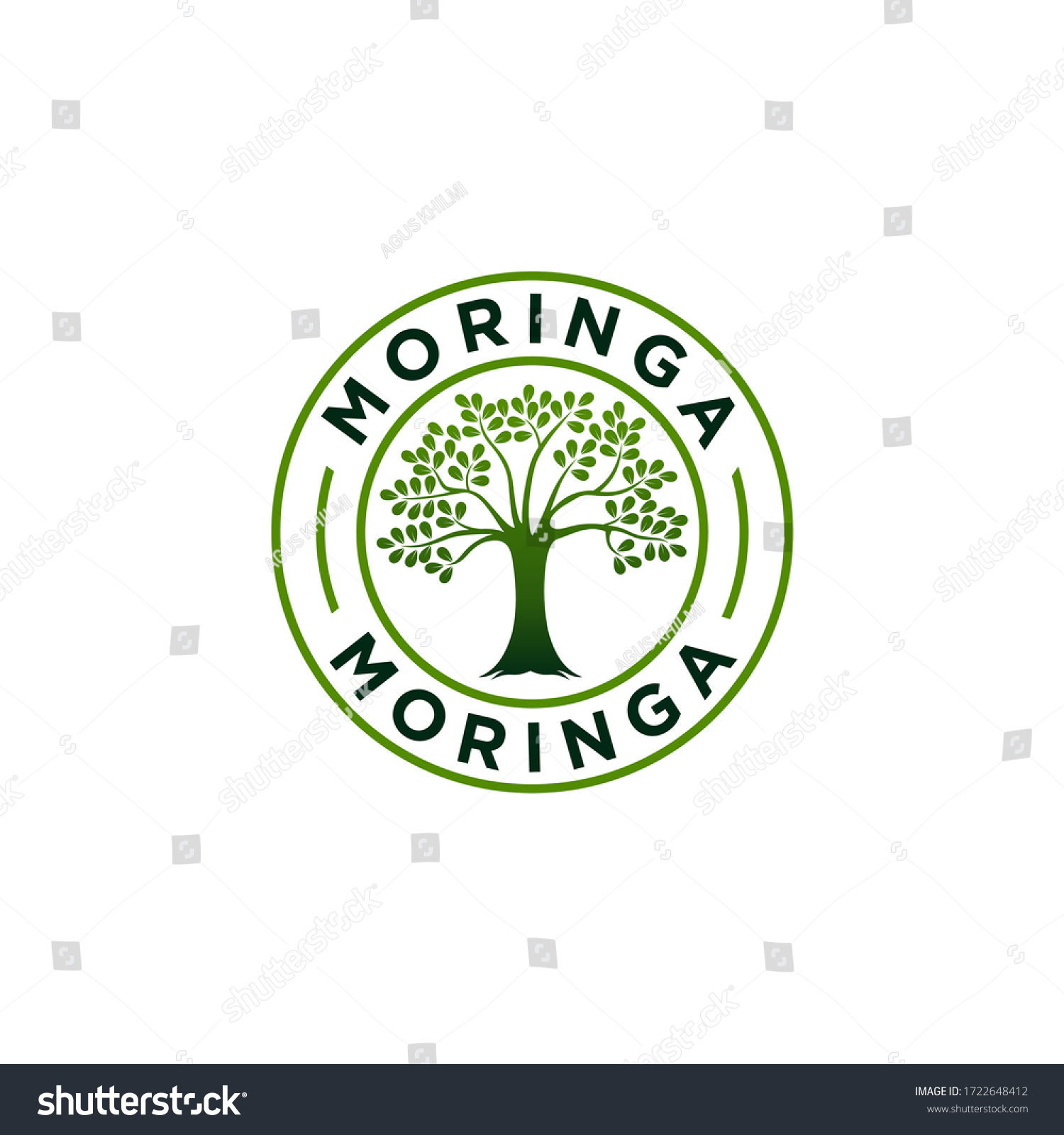 Moringa Logo Design Vector Template Stock Vector (Royalty Free ...