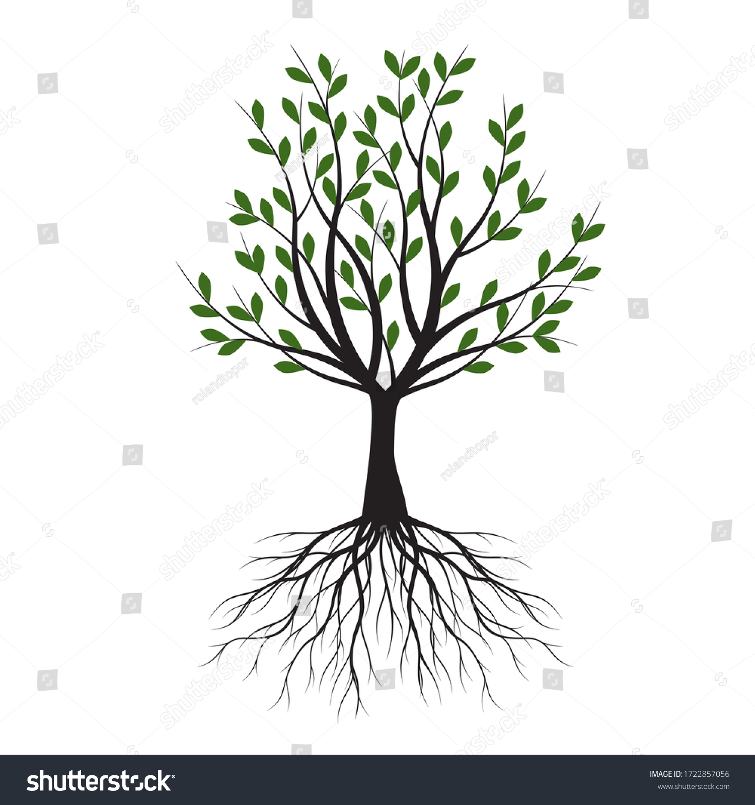 Green Tree Leaves Vector Outline Illustration Stock Vector (Royalty ...