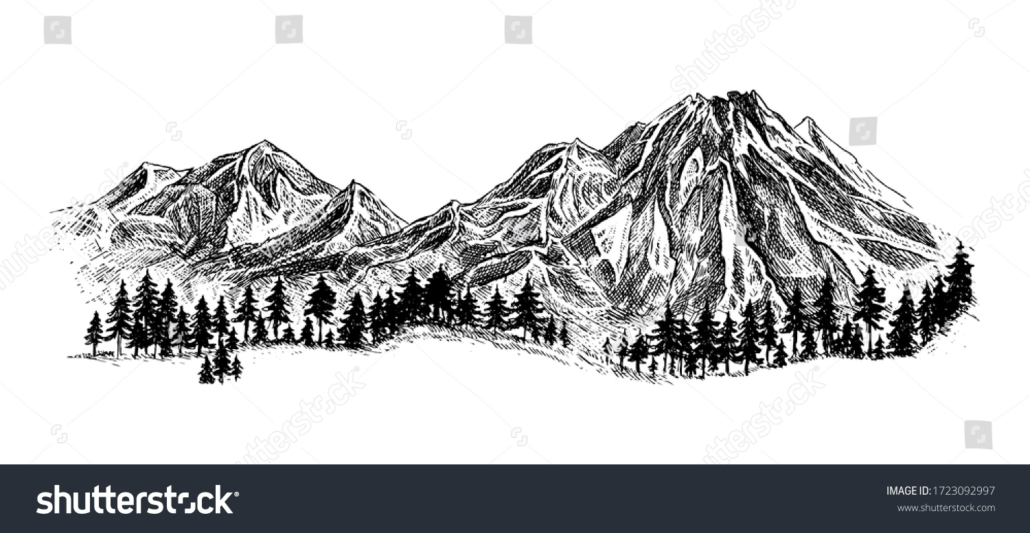 Mountain Pine Trees Landscape Black On Stock Vector (Royalty Free ...