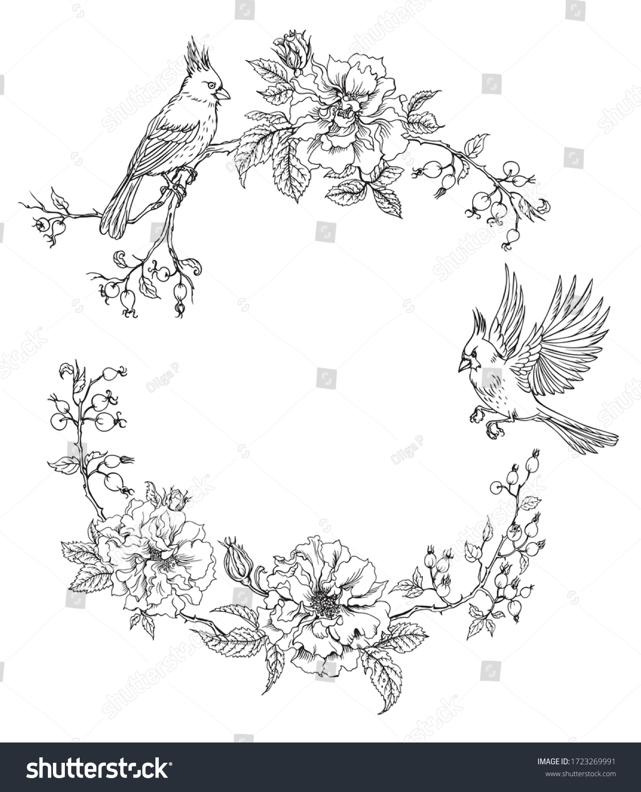 Frame Birds Cardinals Climbing Roses Contour Stock Vector (Royalty Free ...