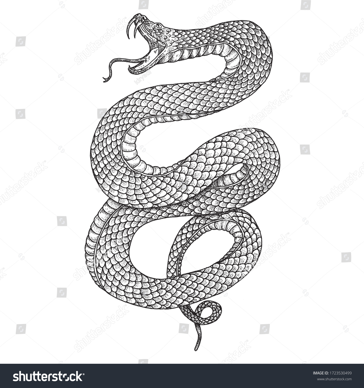 Black Mamba Vintage Illustration Hand Drawing Stock Vector (Royalty ...