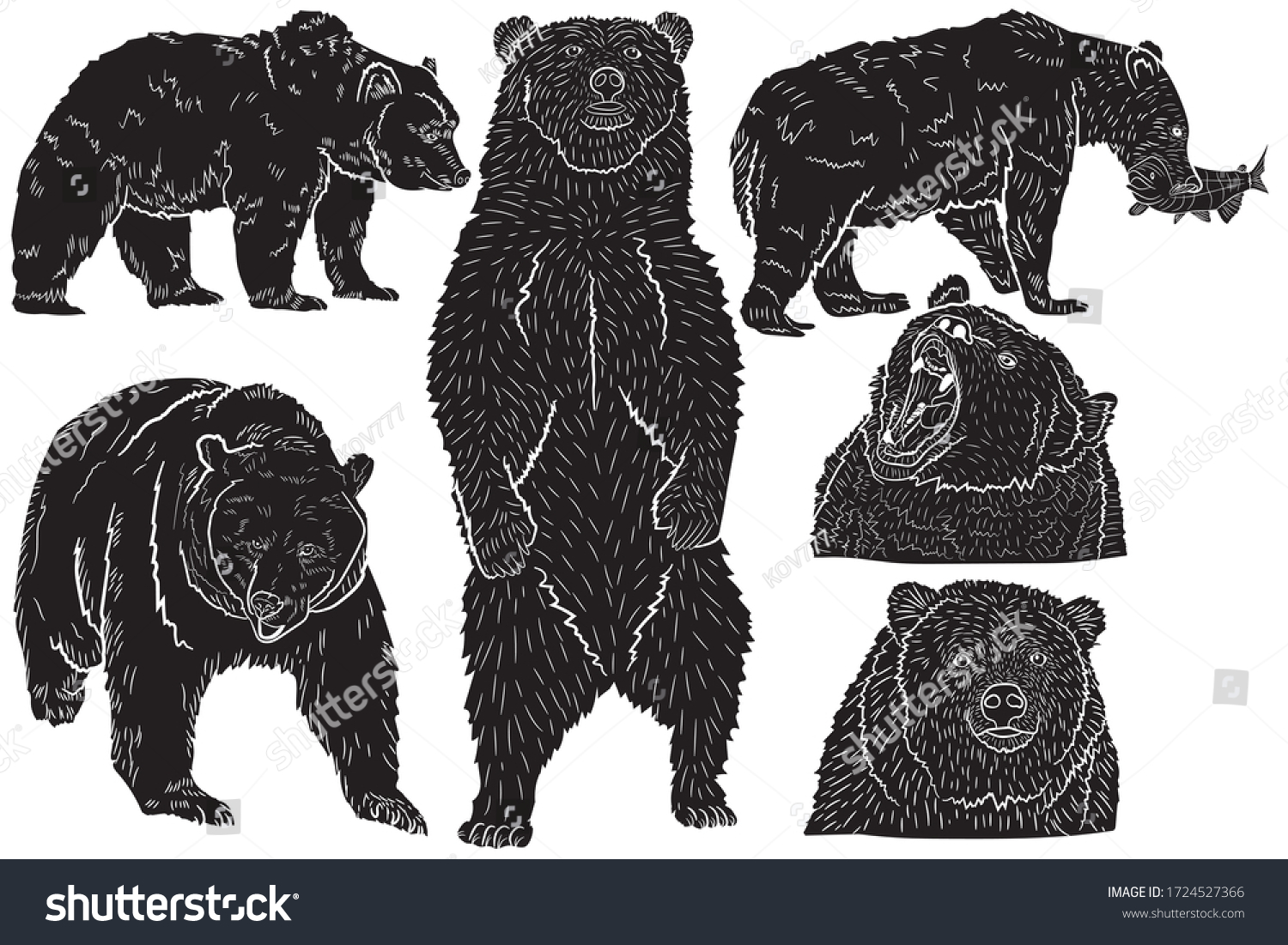 Collection Black Silhouettes Realistic Grizzly Bears Stock Vector ...