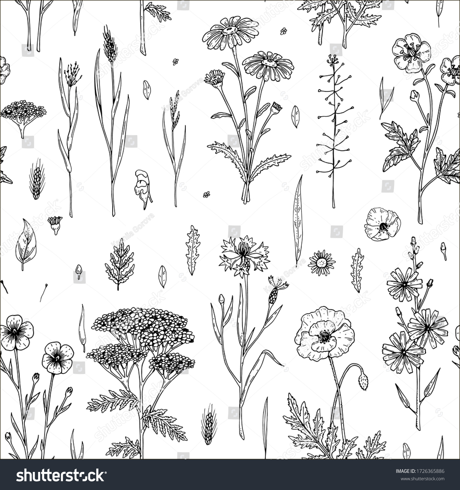 Hand Drawn Meadow Flowers Seamless Pattern Stock Vector Royalty Free 1726365886 Shutterstock