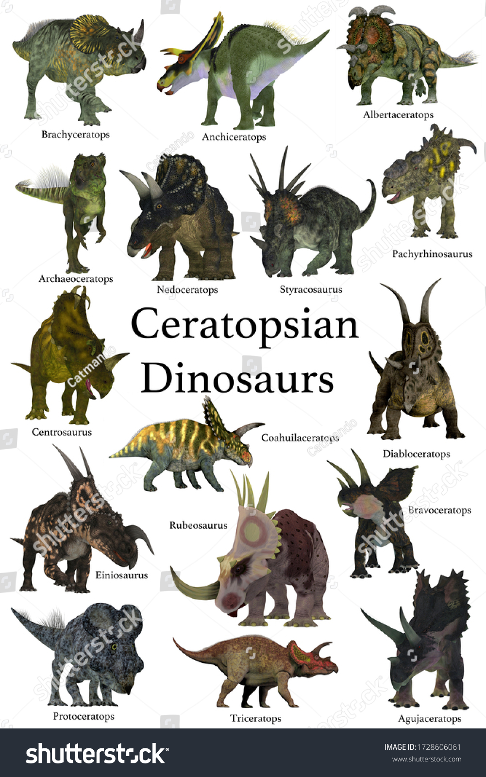 Ceratopsian Dinosaurs 3d Illustration Collection Set Stock Illustration ...