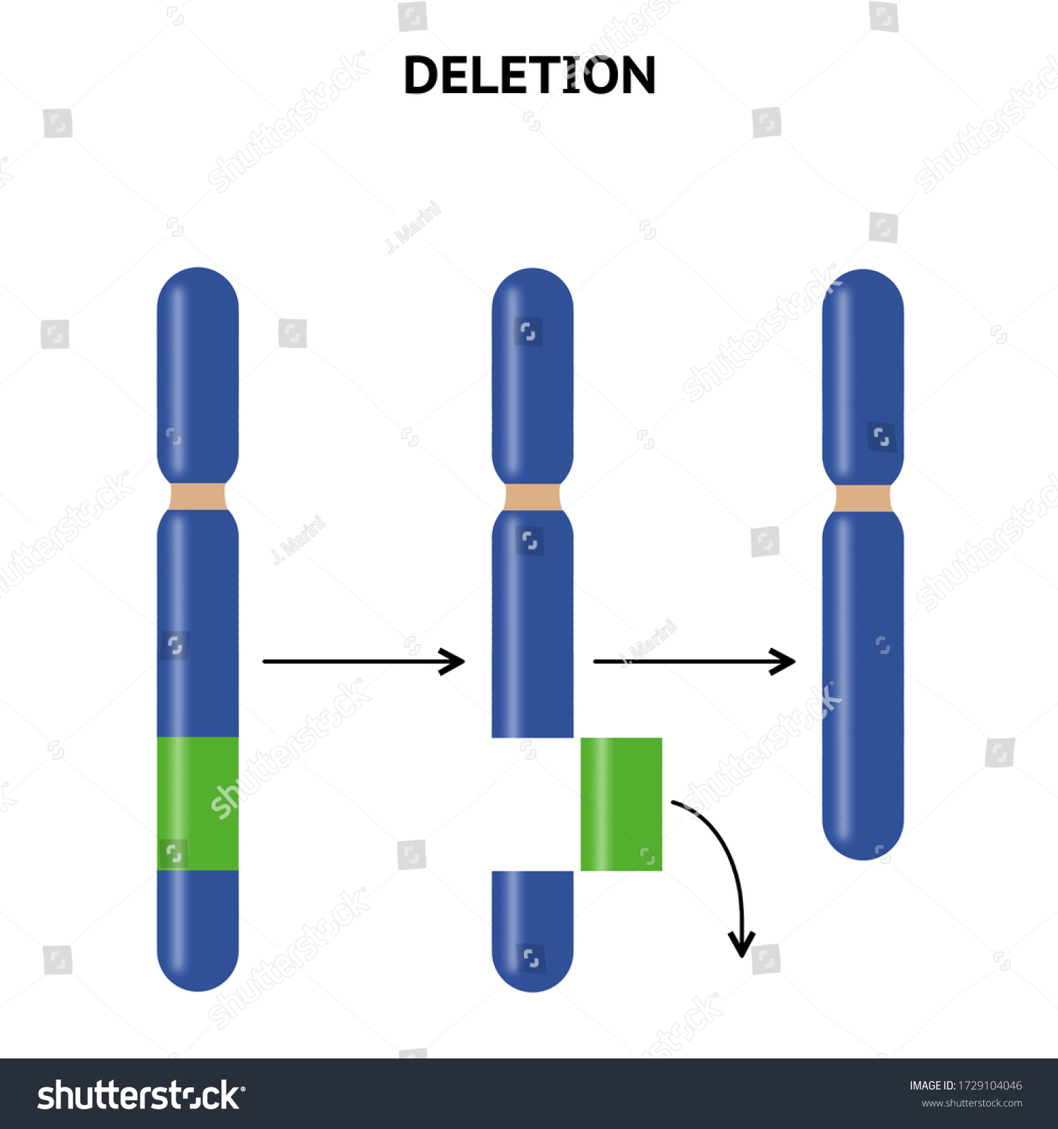 Cambio Estructural En La Estructura De: Ilustración De Stock 1729104046 ...