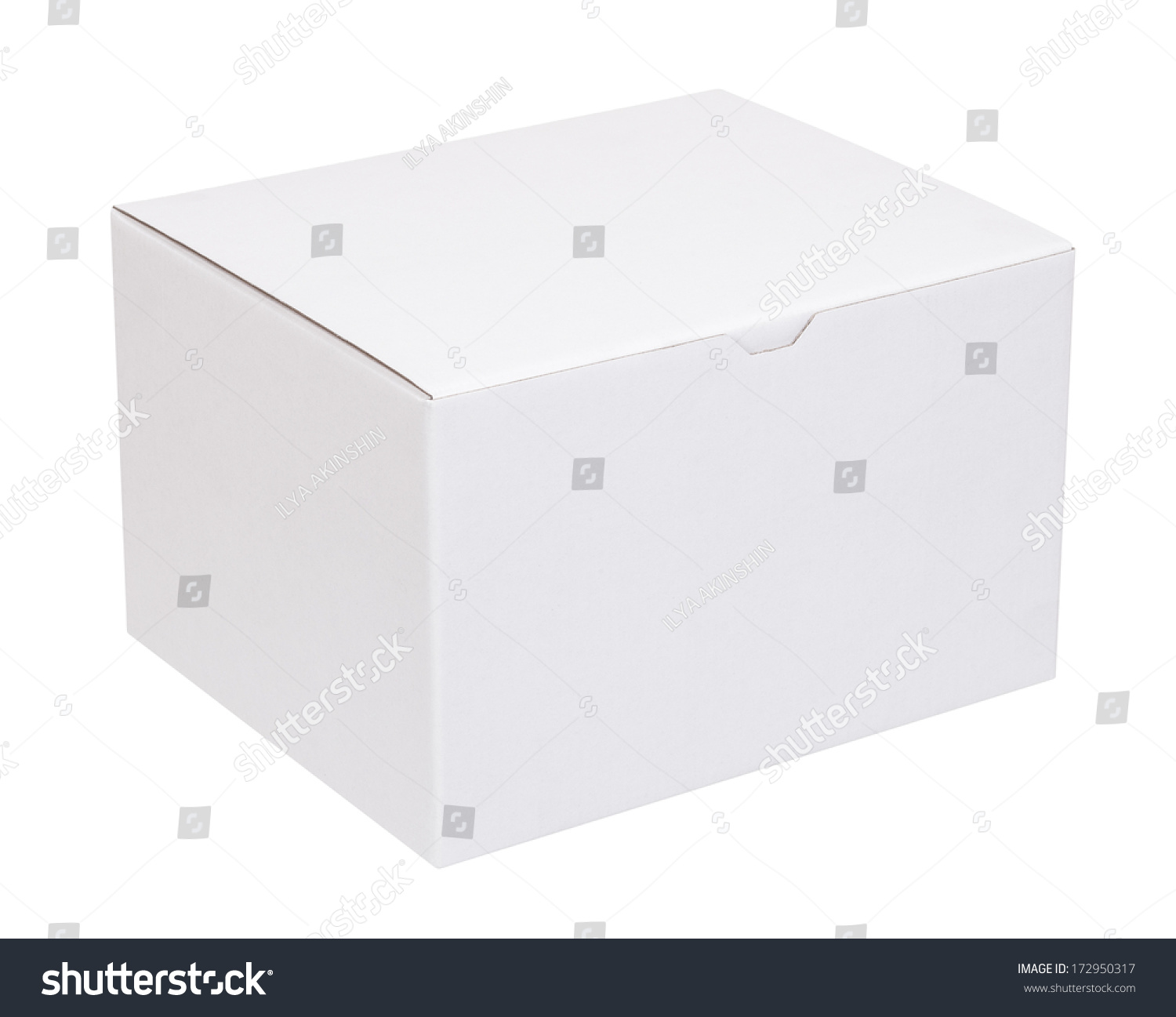 Cardboard Box On White Background Stock Photo 172950317 | Shutterstock