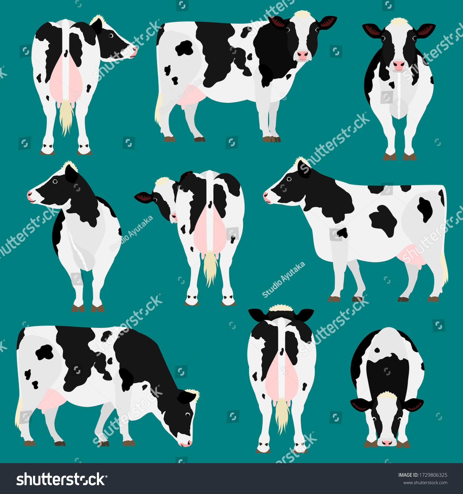 Holstein Friesian Cattle Various Pose Set Stock Vector (Royalty Free ...