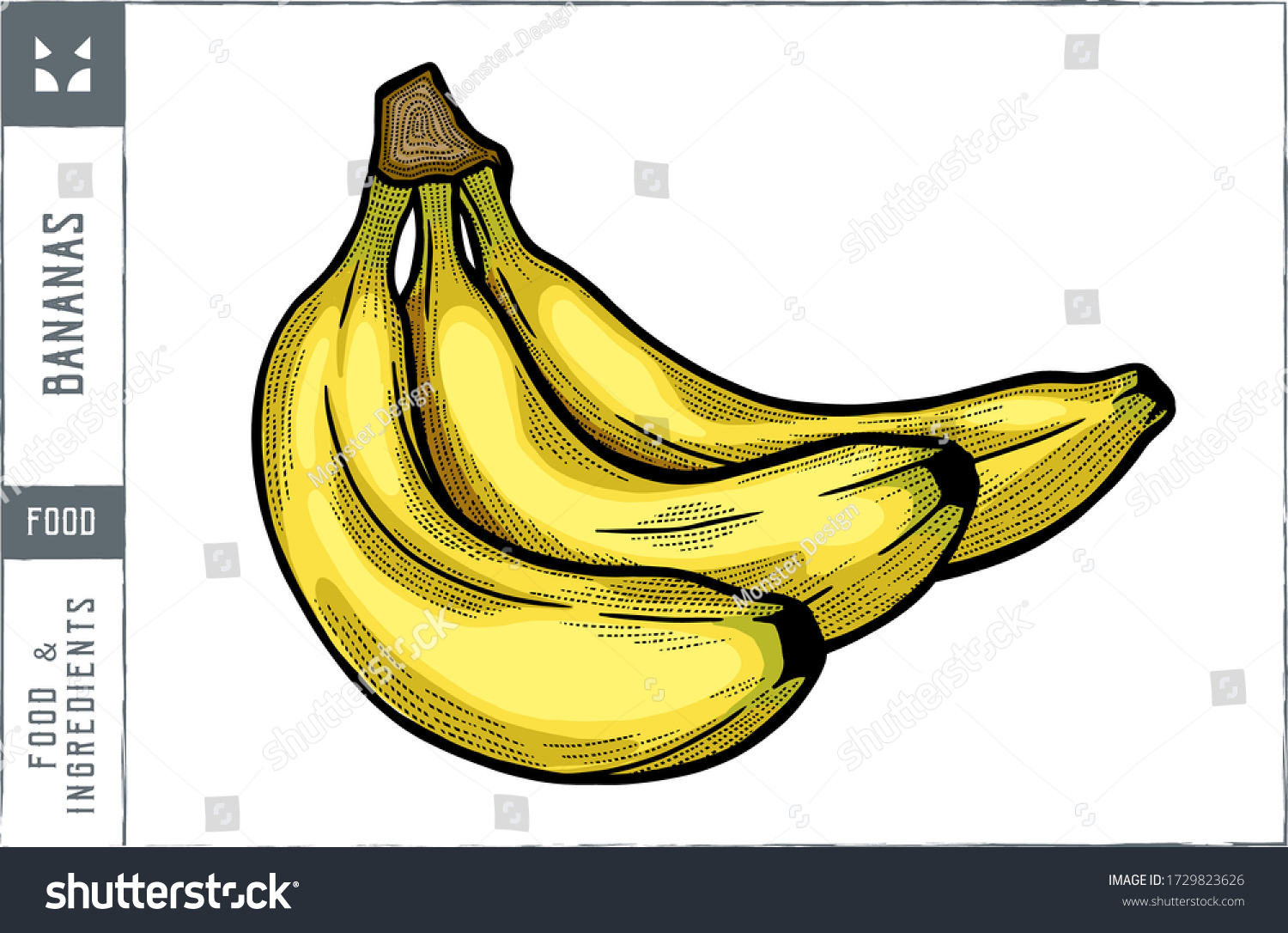 Bananas Vector Illustration Hand Drawn Out Stock Vector (Royalty Free ...