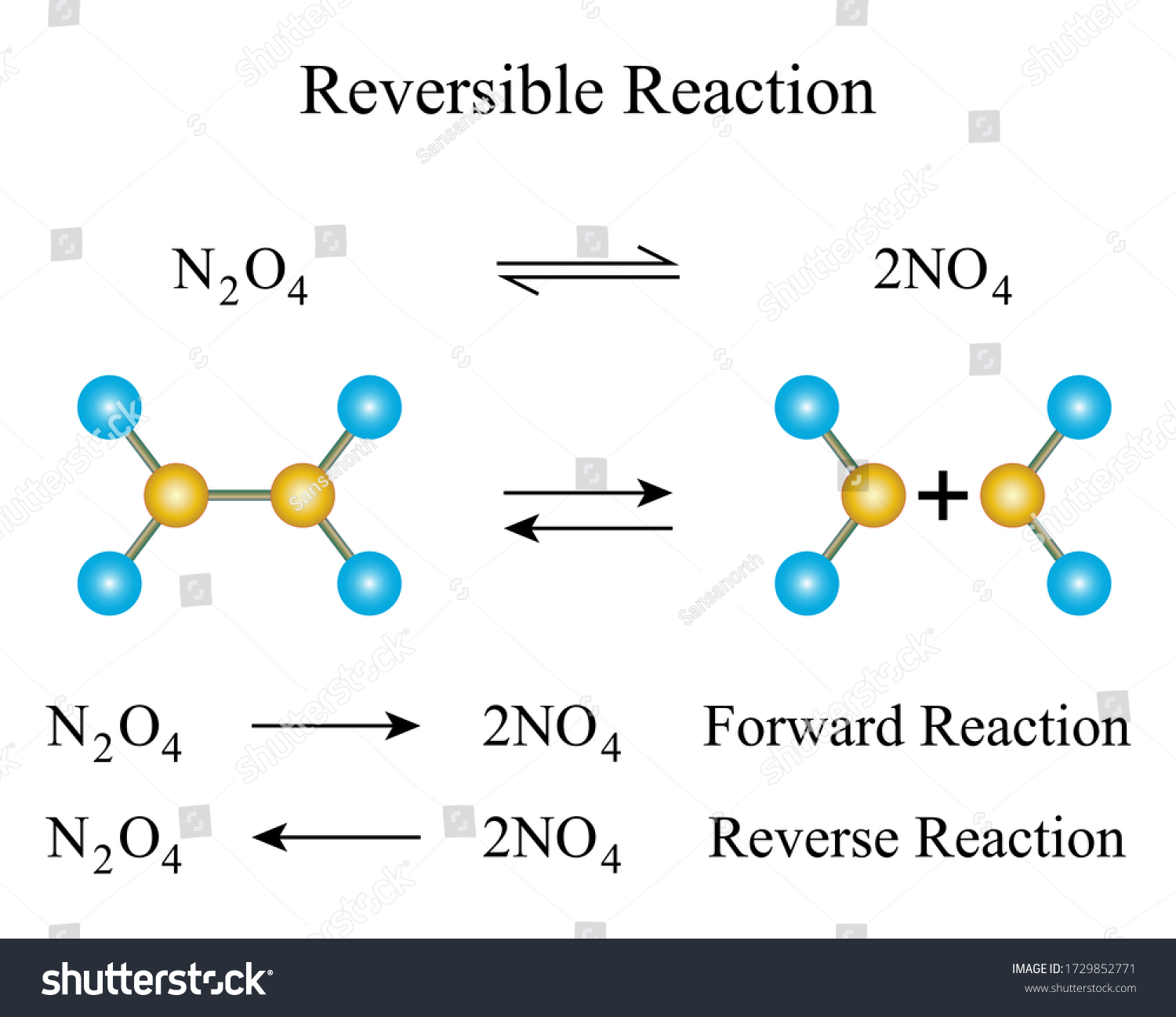 Illustration Chemical Reversible Reaction Chemical Reaction Stock ...