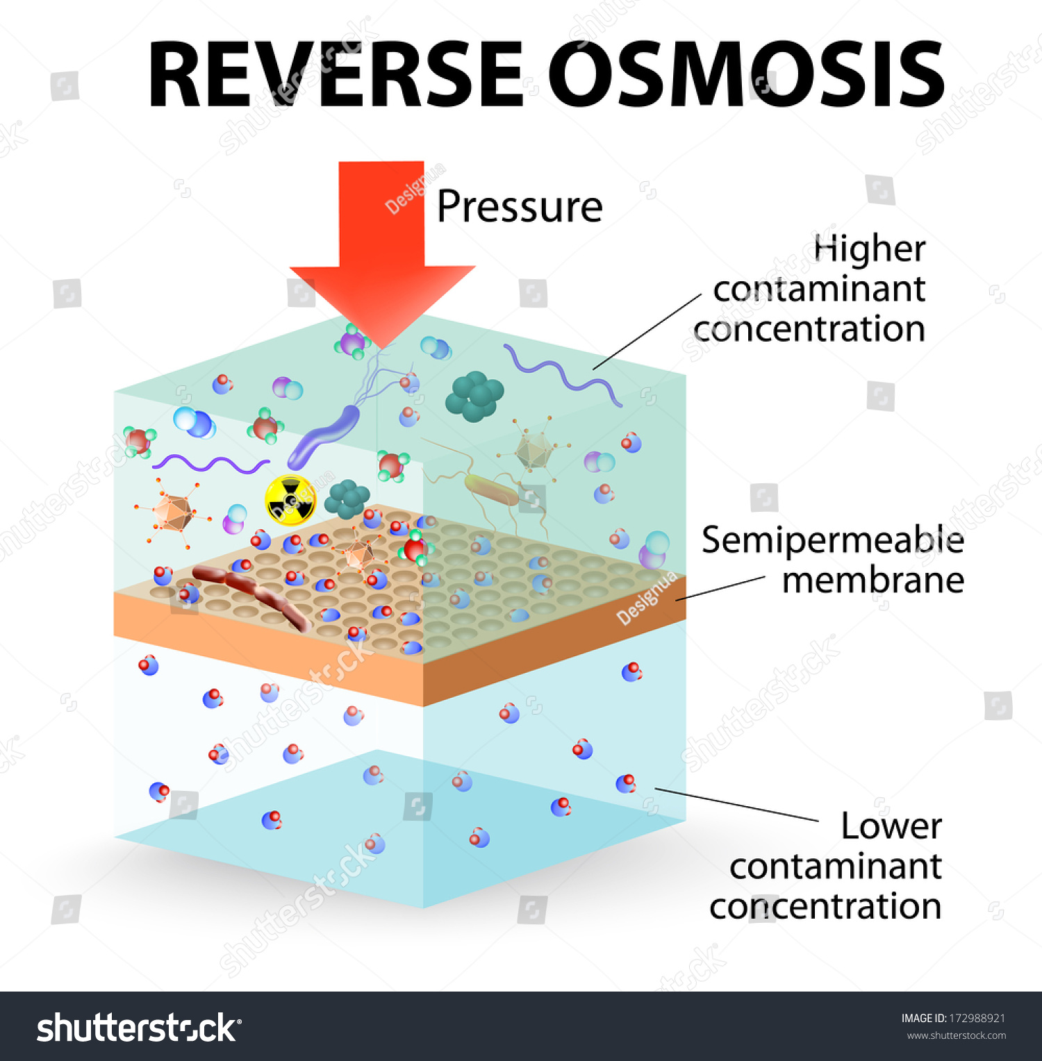 Pressure Applied Contaminated Water Forcing Water Stock Illustration ...