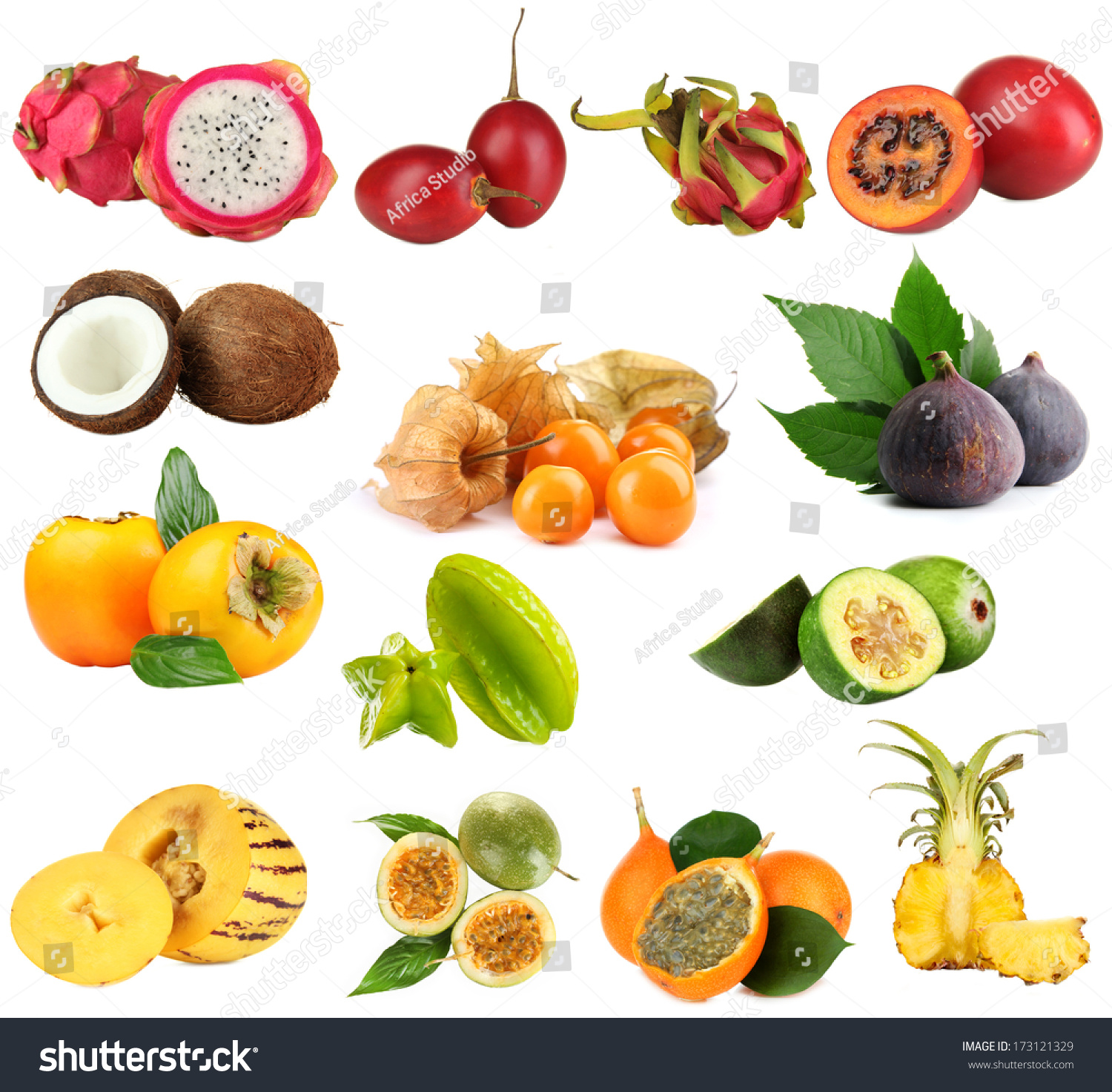 Collage Tropical Fruits Isolated On White Stock Photo 173121329 ...