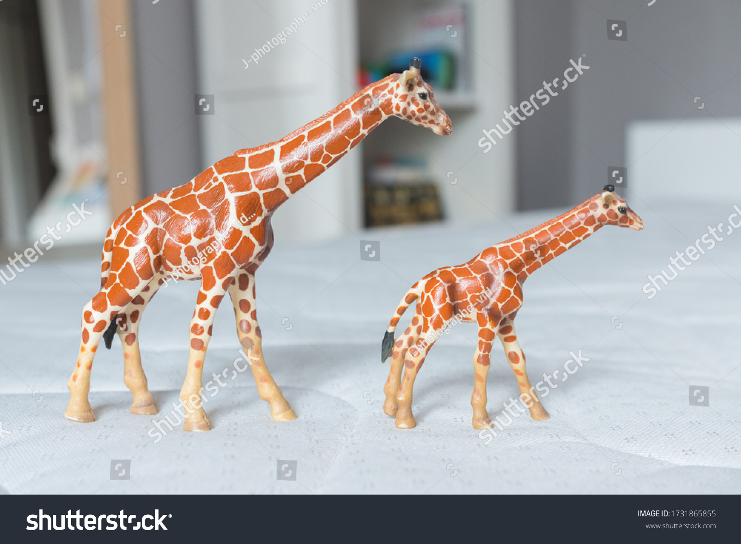 Beautiful Miniature Giraffes Standing Made Rubber Stock Photo