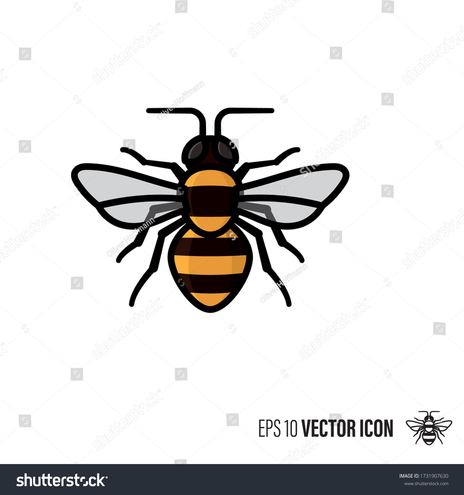 Honey Bee Line Color Filled Outline Stock Vector (Royalty Free ...