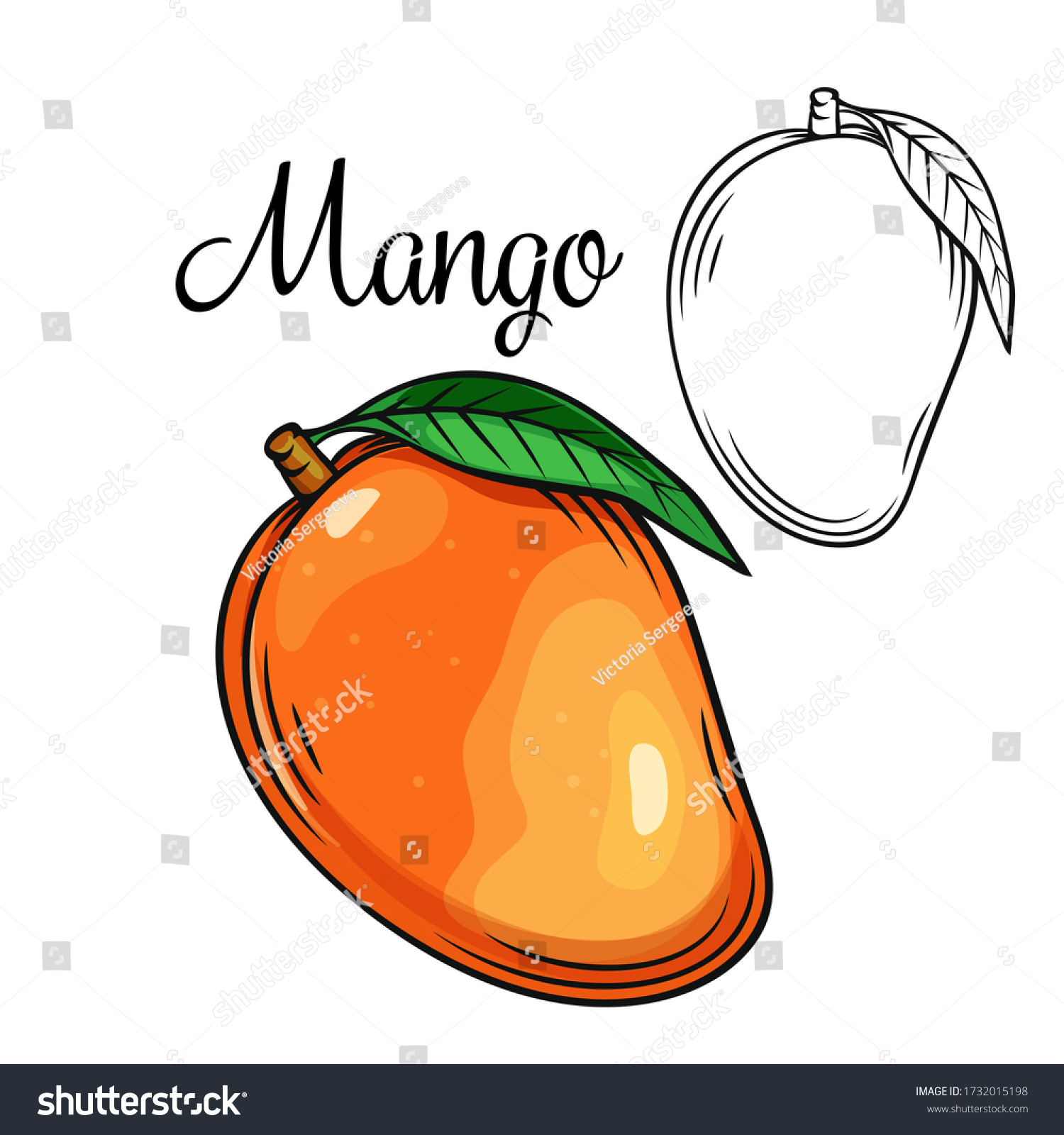 mango fruit drawing