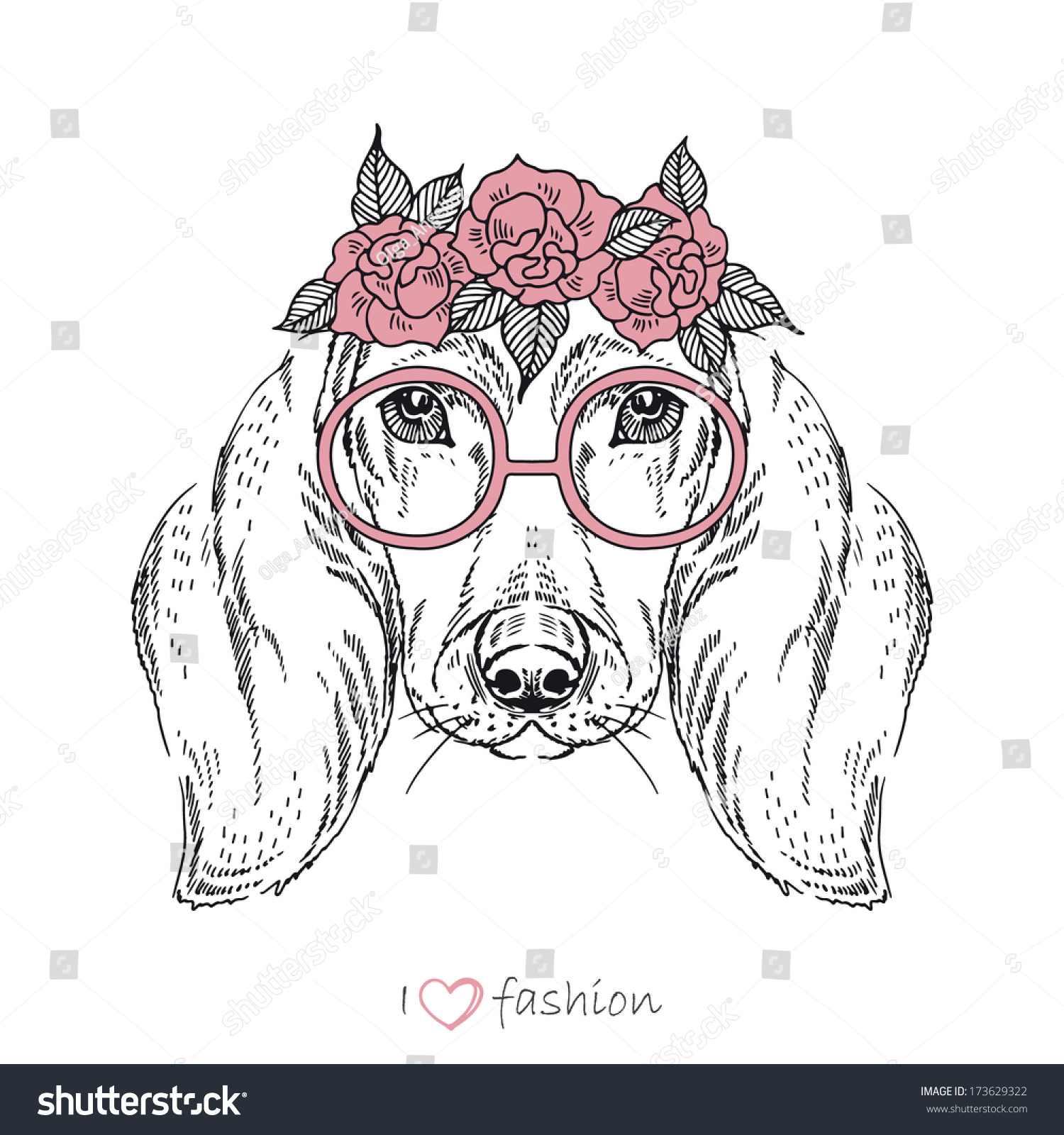 Hand Drawn Fashion Portrait Dachshund Isolated Stock Vector (Royalty ...