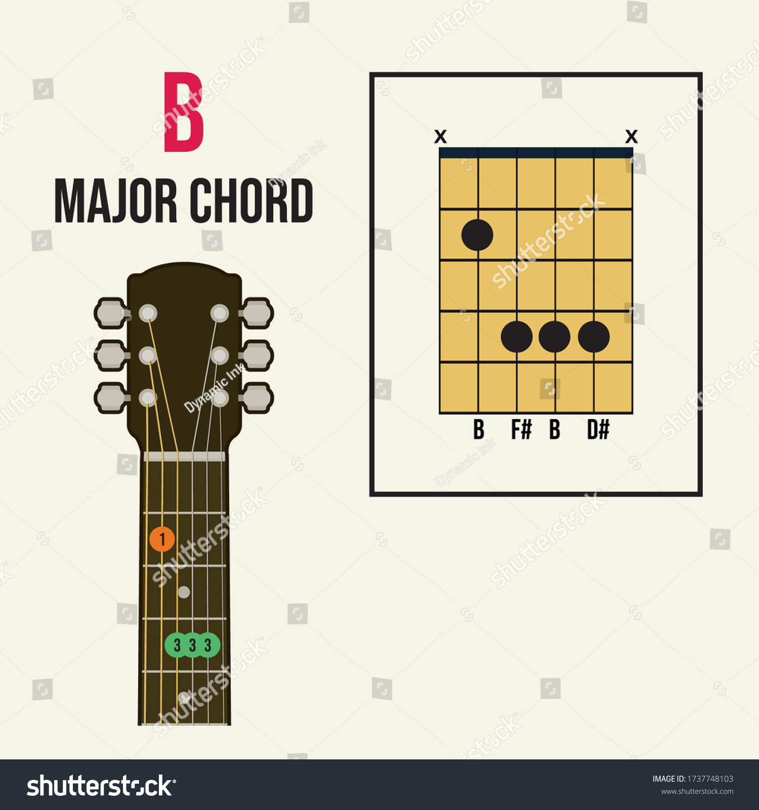 B Major Chord Guitar Beginners Vector: เวกเตอร์สต็อก (ปลอดค่าลิขสิทธิ์ ...