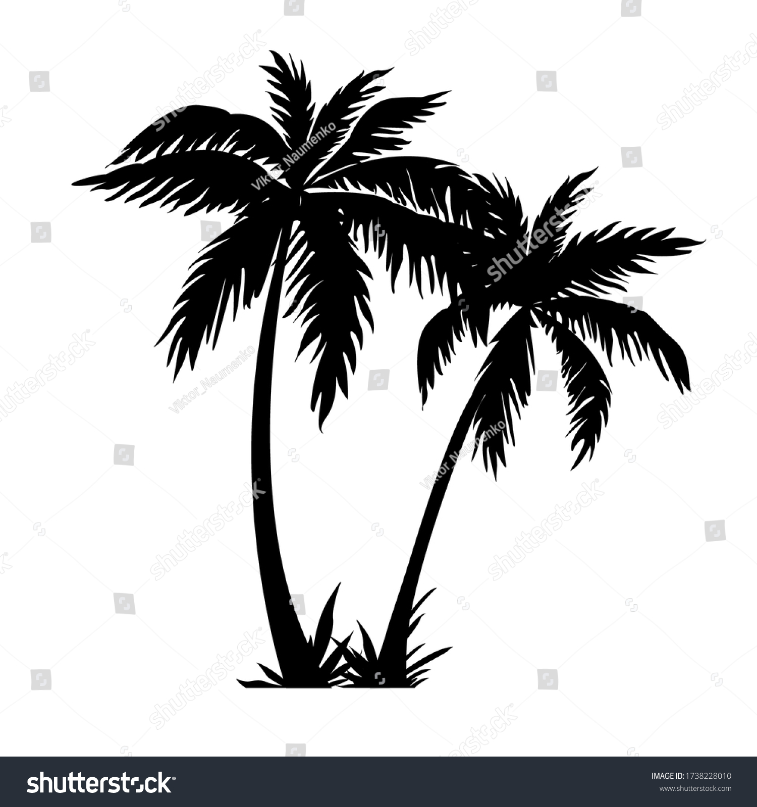 Black Silhouettes Tropical Palm Trees Isolated Stock Vector (Royalty ...