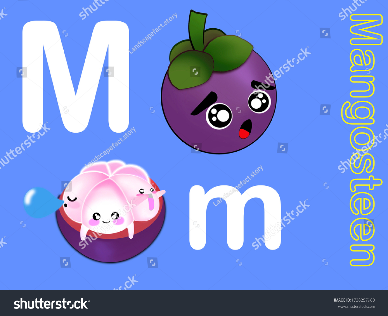 Cute Alphabet Letter M Mangosteen Fruits Stock Illustration 1738257980 ...