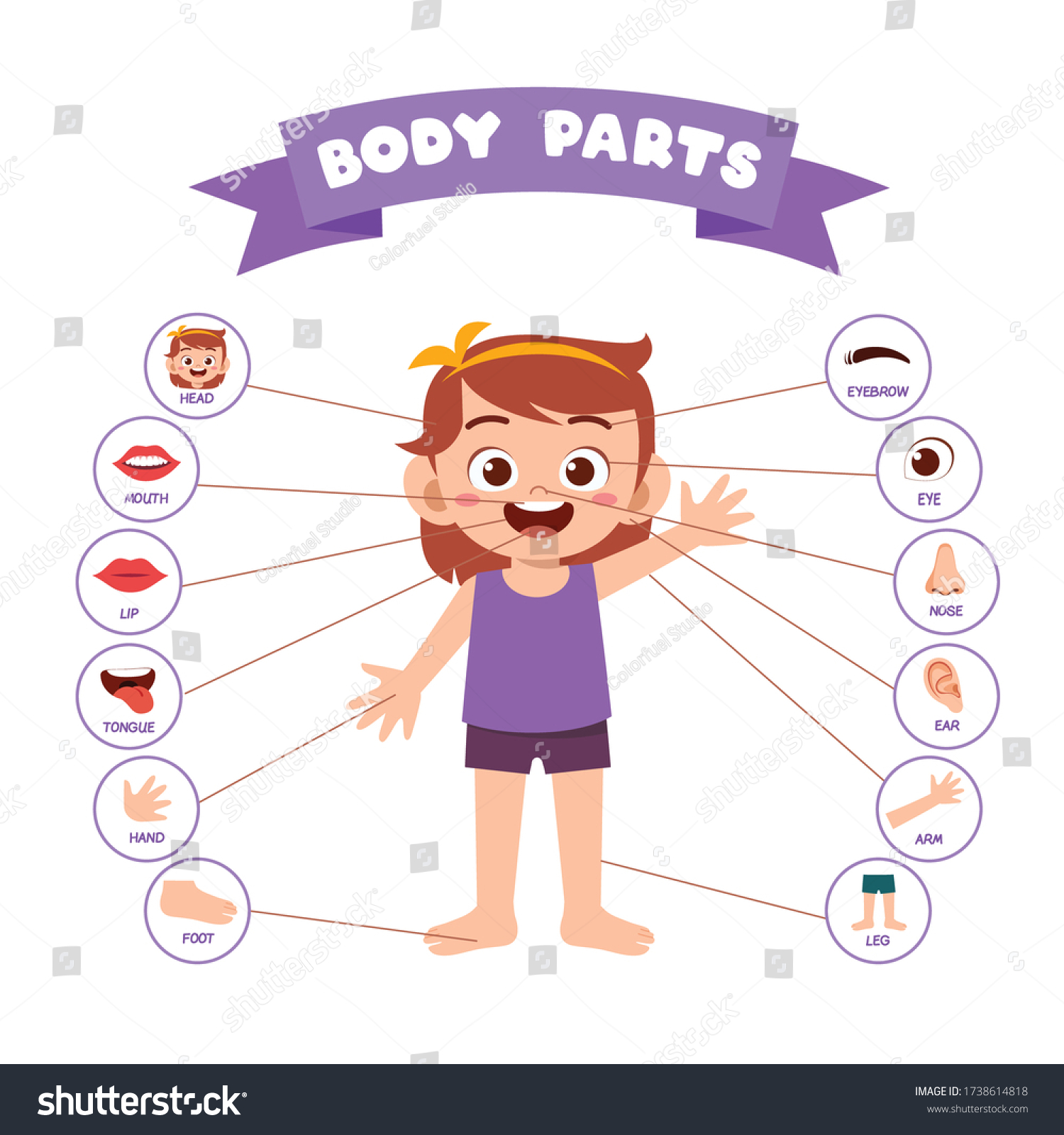 Happy Cute Kid Girl Body Part Stock Vector (Royalty Free) 1738614818 ...