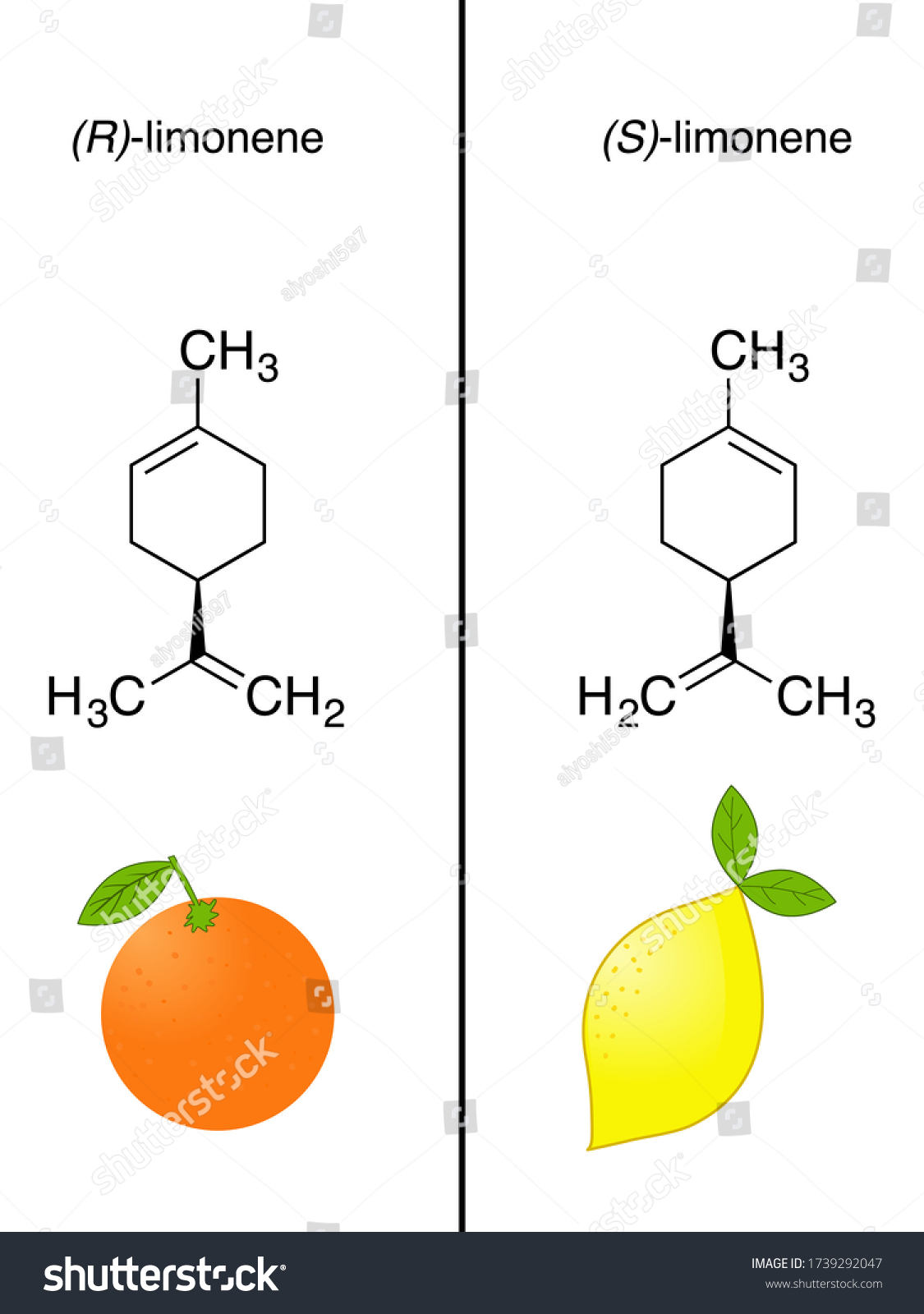 Illustration Limonene Chiral Molecule Orange Lemon Stock Vector ...