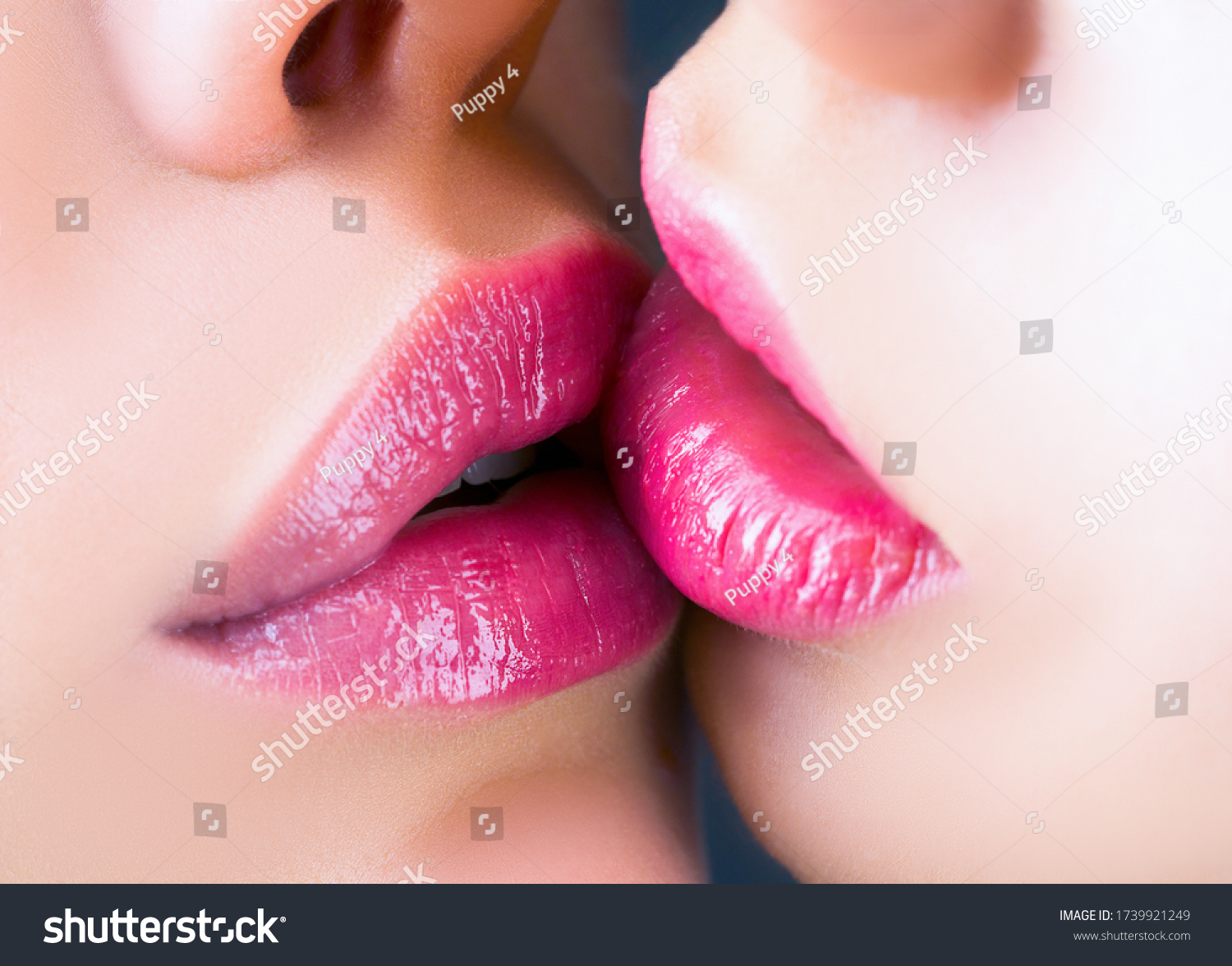 Difference between lesbian and lipstick lesbian
