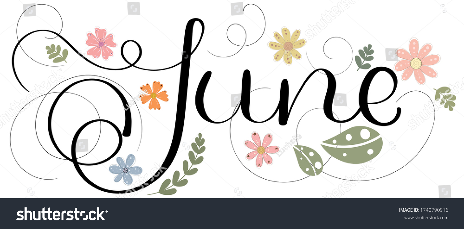 Hello June June Month Vector Flowers Stock Vector (Royalty Free ...