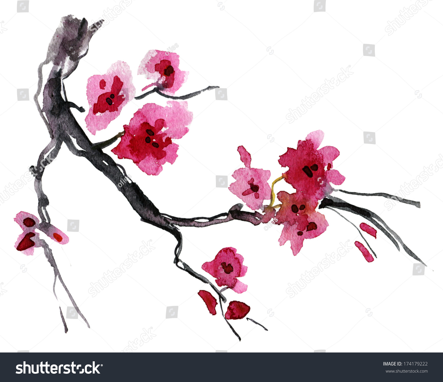 Realistic Sakura Blossom Japanese Cherry Tree Stock Illustration ...