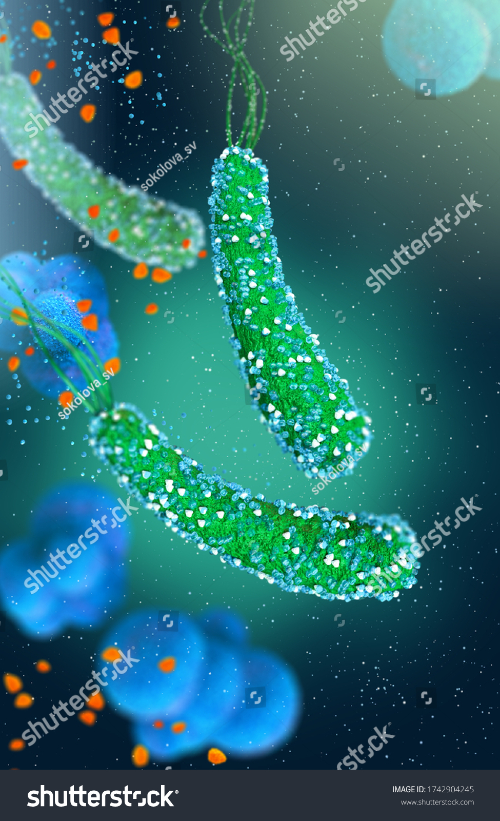 Dangerous Pathogenic Bacteria Helicobacter Pylori Pathogen Stock ...