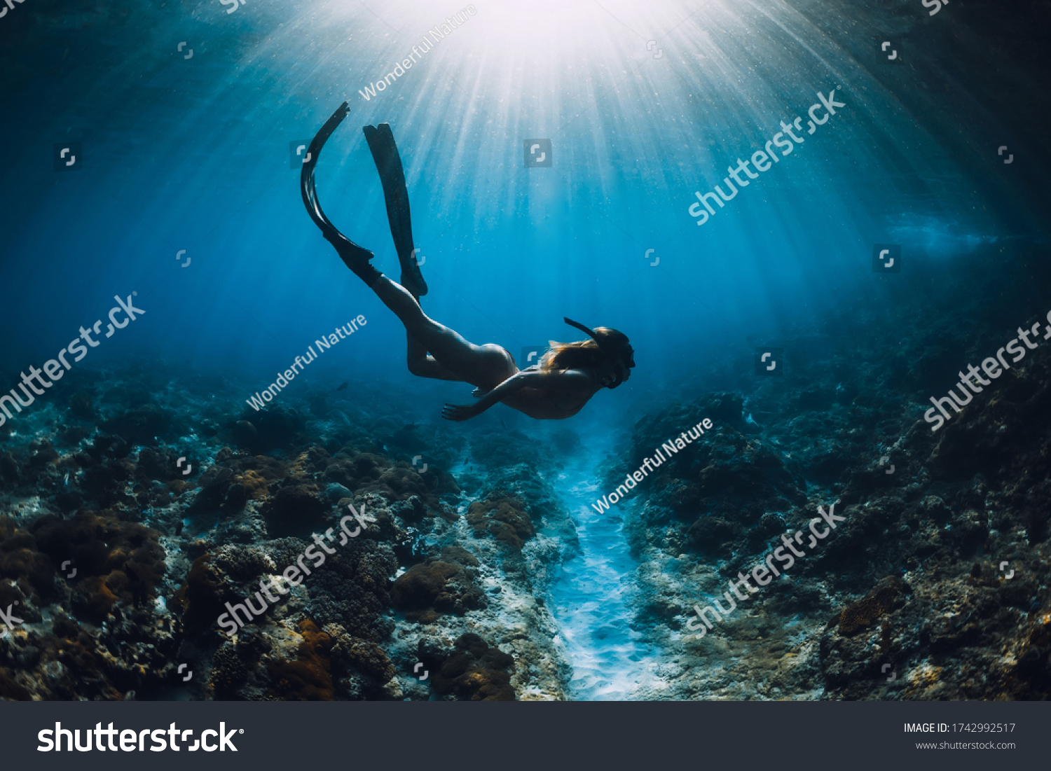 Young Freediver Woman Fins Glides Amazing Stock Photo 1742992517 ...