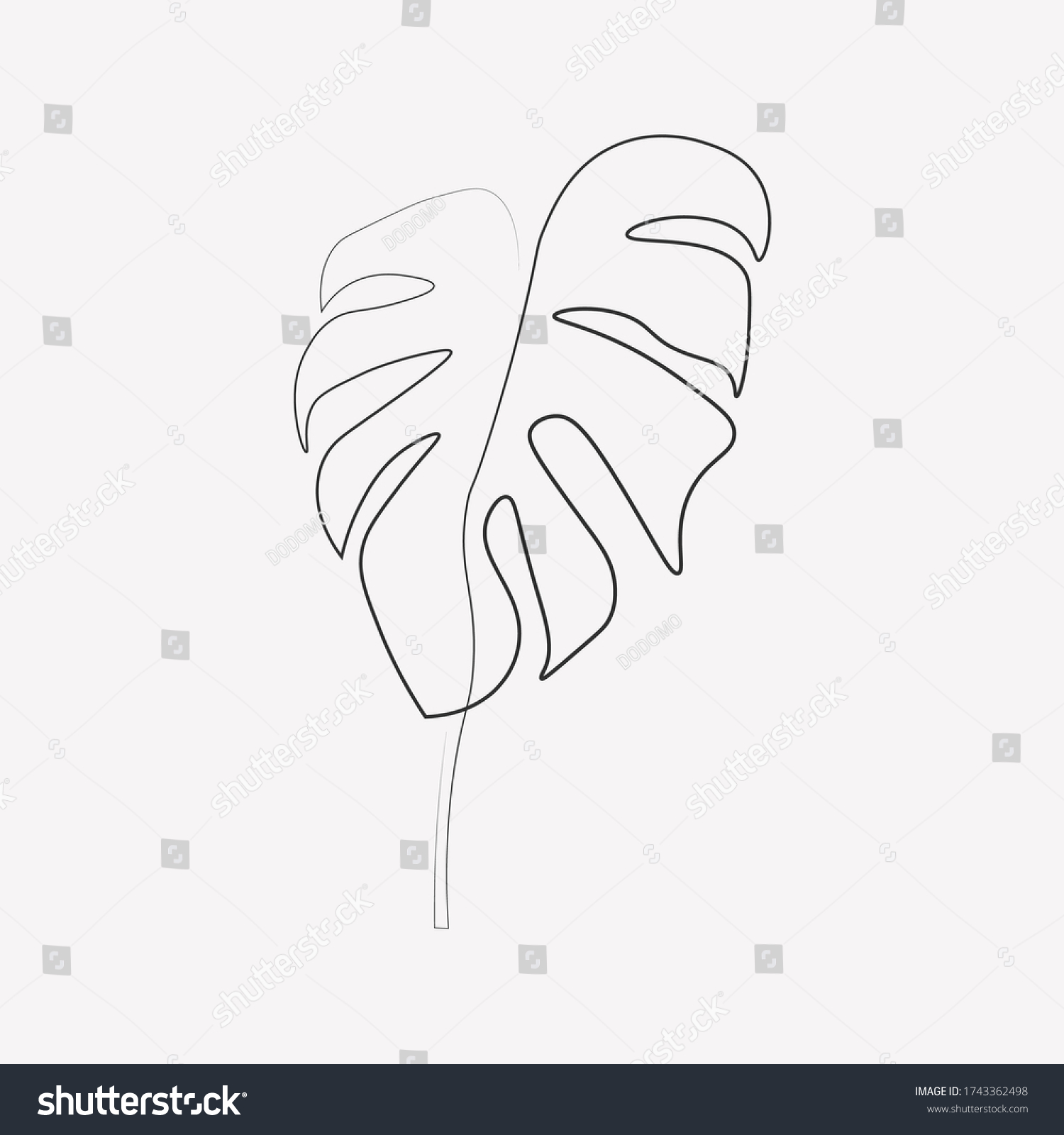 Continuous Line Monstera Leaves Natural One Stock Vector (Royalty Free ...