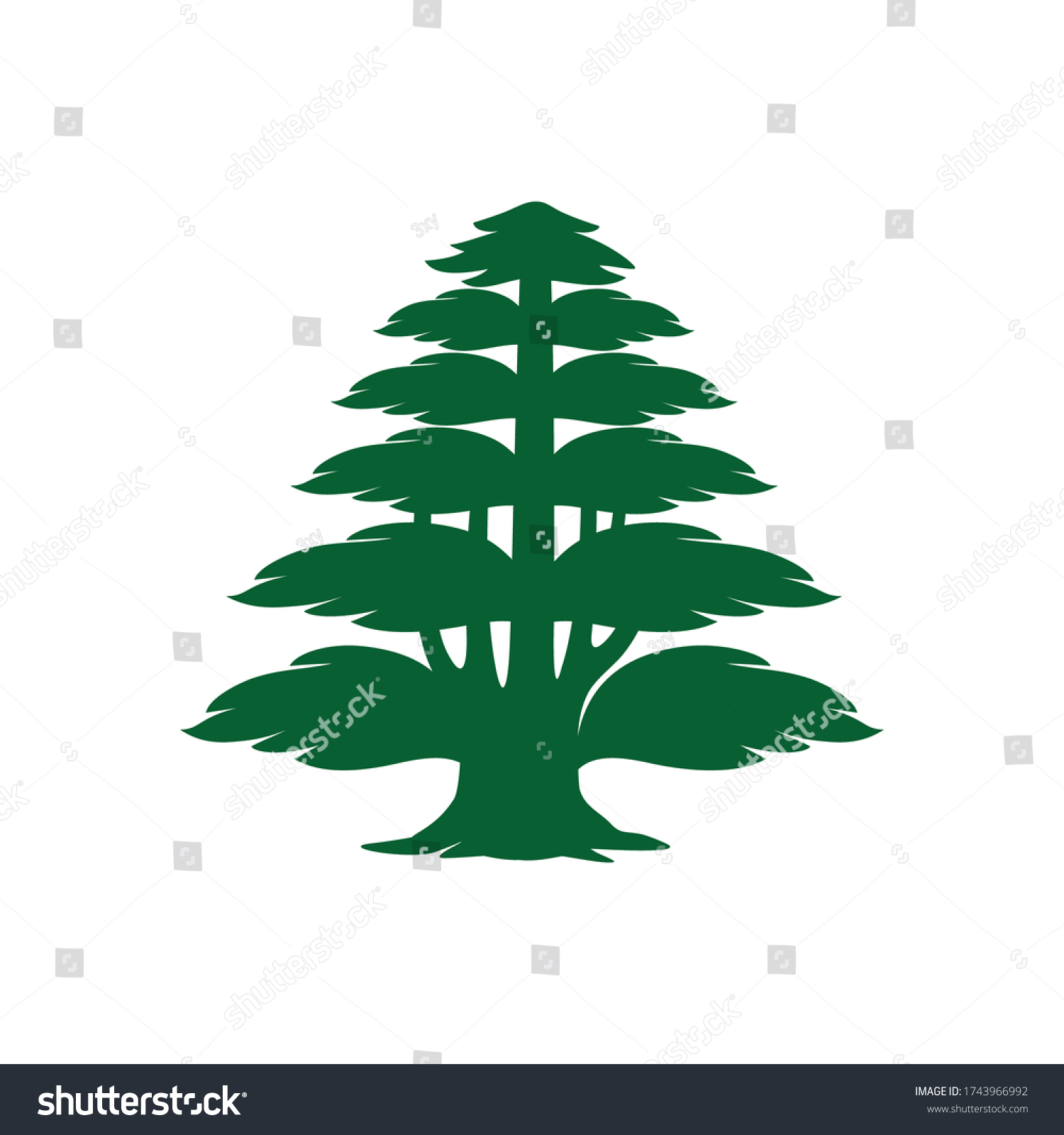 Vector Silhouette Cedar Lebanon Isolated On Stock Vector (Royalty Free ...