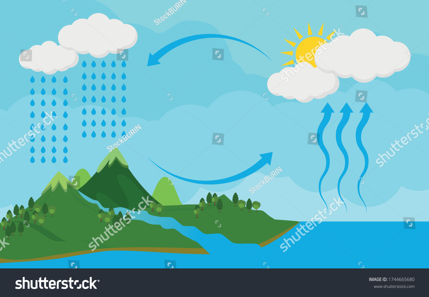 Circulation Cycle Water Condensationdiagram Showing Water Stock Vector ...