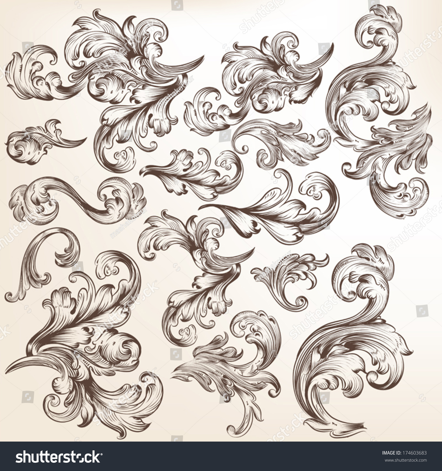 Vector Set Swirl Elements Design Calligraphic Stock Vector (Royalty ...