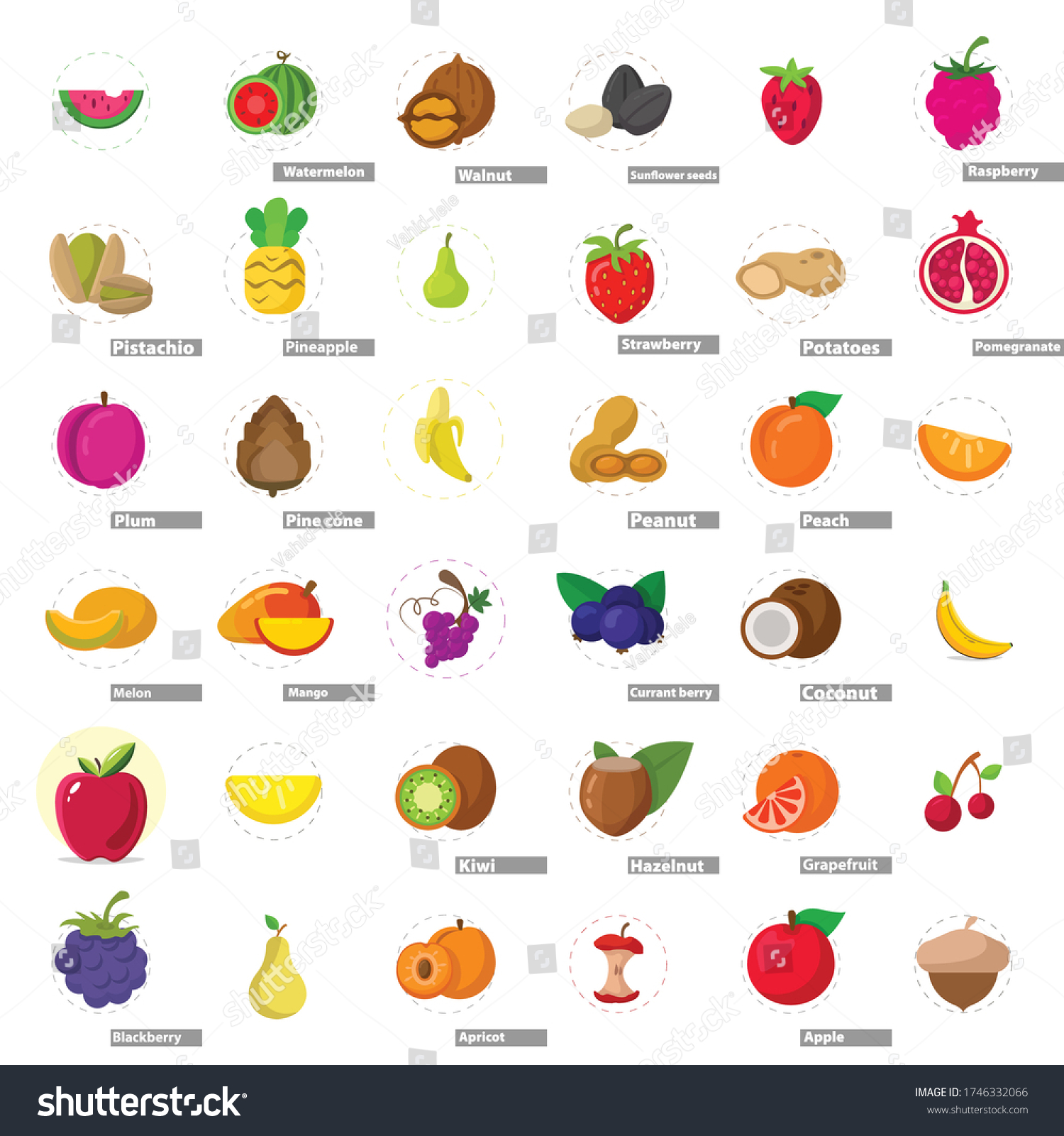 Fruit Flat Icon Set Watermelon Melon Stock Vector (royalty Free 