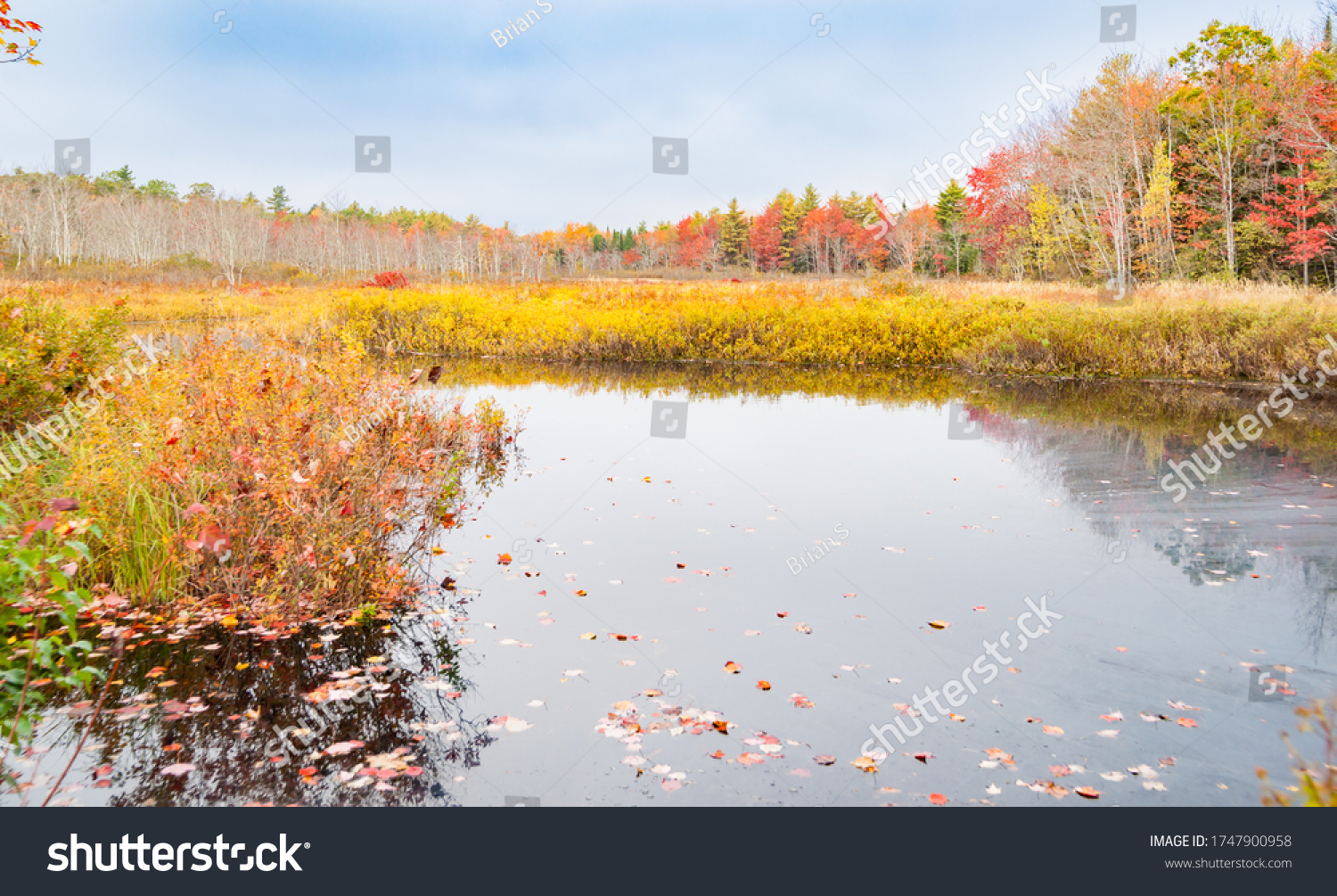 10,684 Maine pond Images, Stock Photos & Vectors | Shutterstock