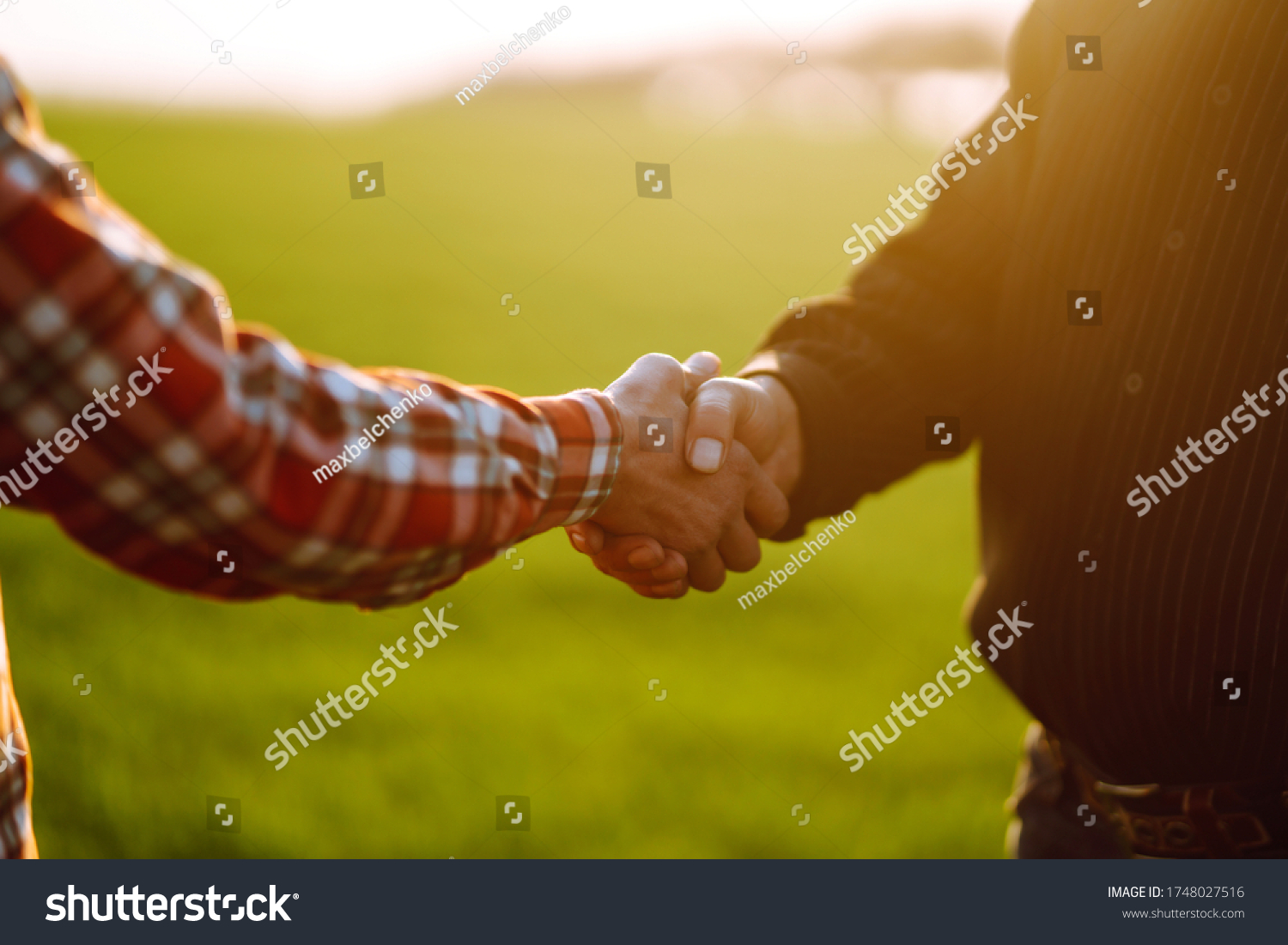 248,922 Farming Hands Images, Stock Photos & Vectors | Shutterstock