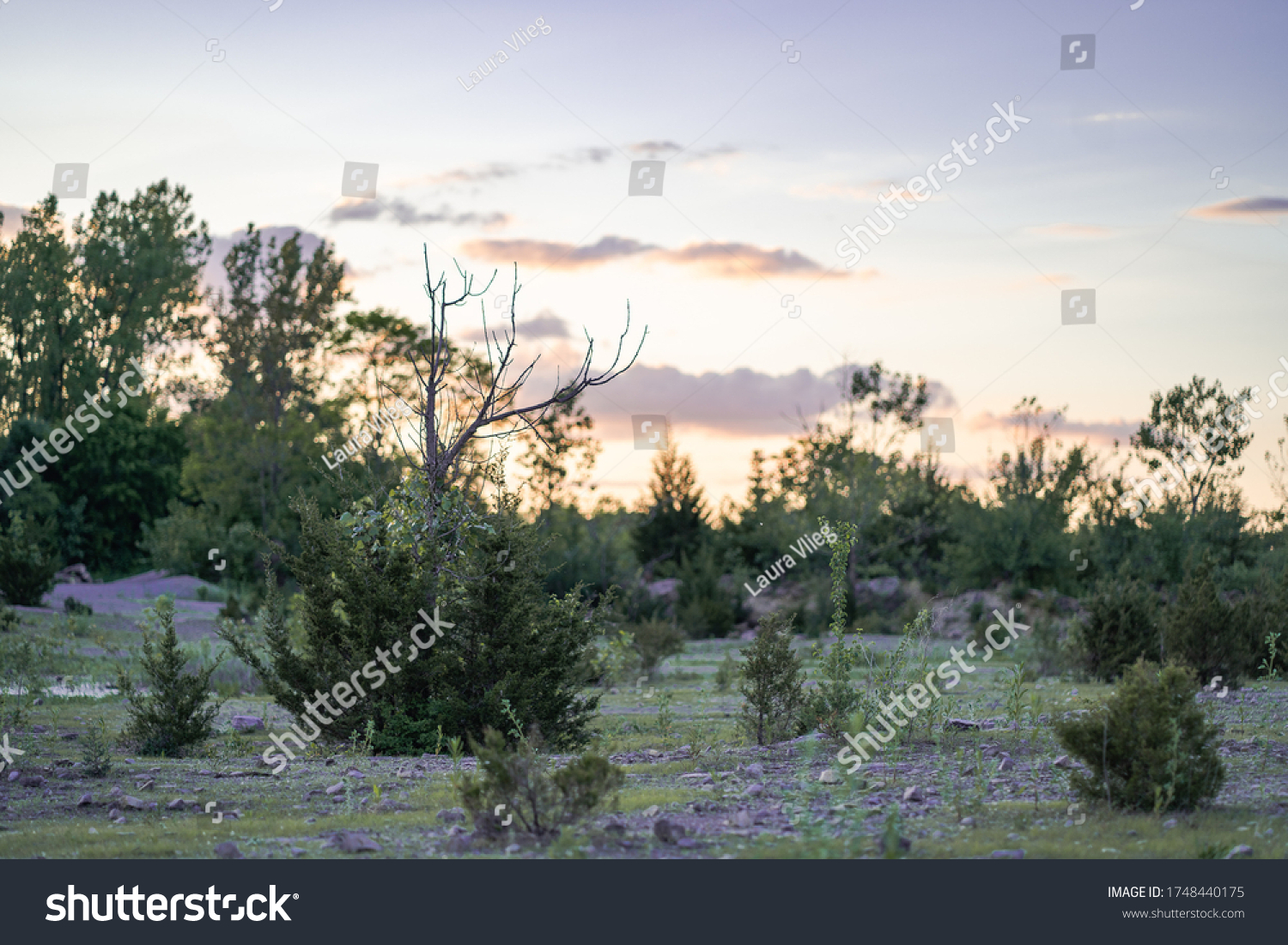 183 Oak Quarry Images, Stock Photos & Vectors | Shutterstock