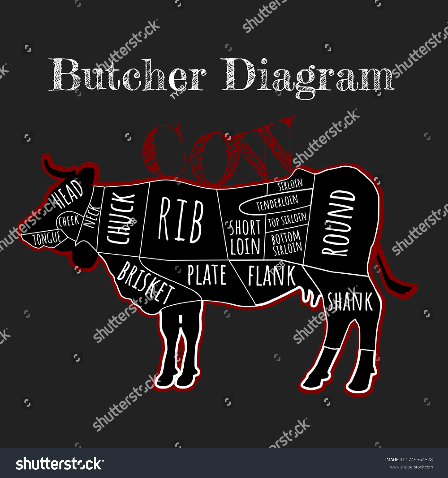 Vector Design Guide Concept Butchers Chart Stock Vector (Royalty Free ...