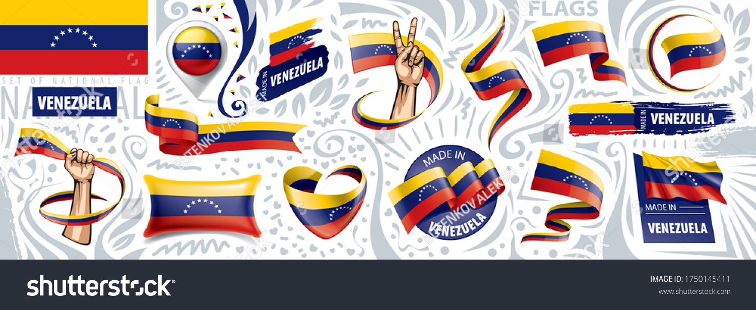 Vector Set National Flag Venezuela Various Stock Vector (Royalty Free ...