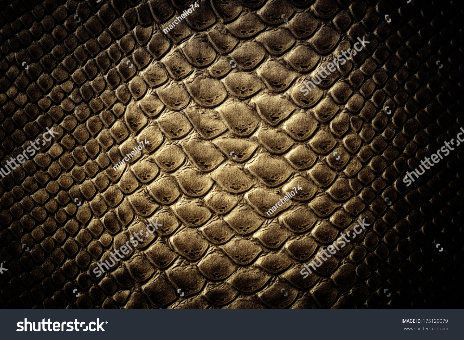 Crocodile Skin Leather Texture Stock Photo 175129079 | Shutterstock