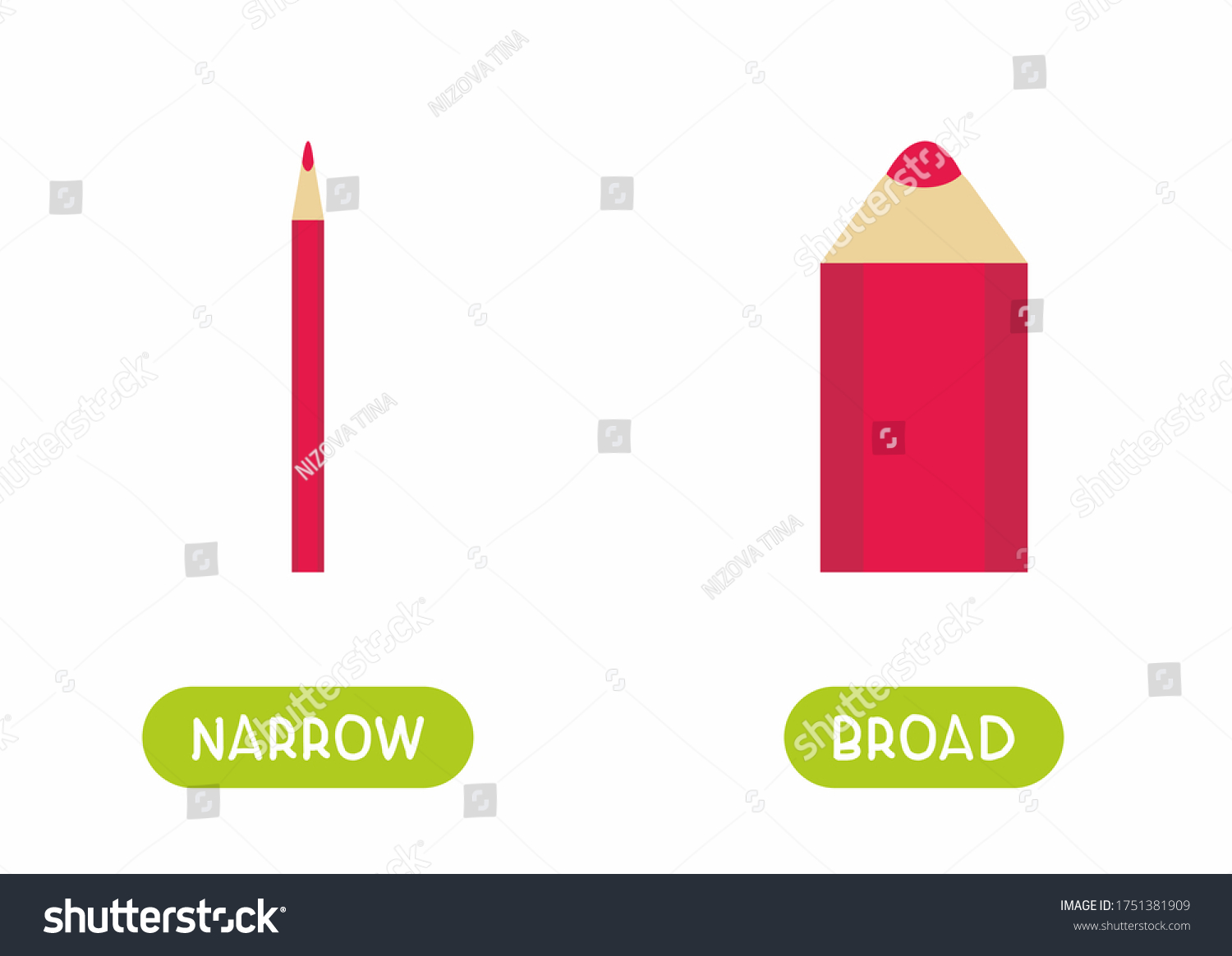 Narrow Broad Antonyms Word Card Flat Stock Vector (Royalty Free