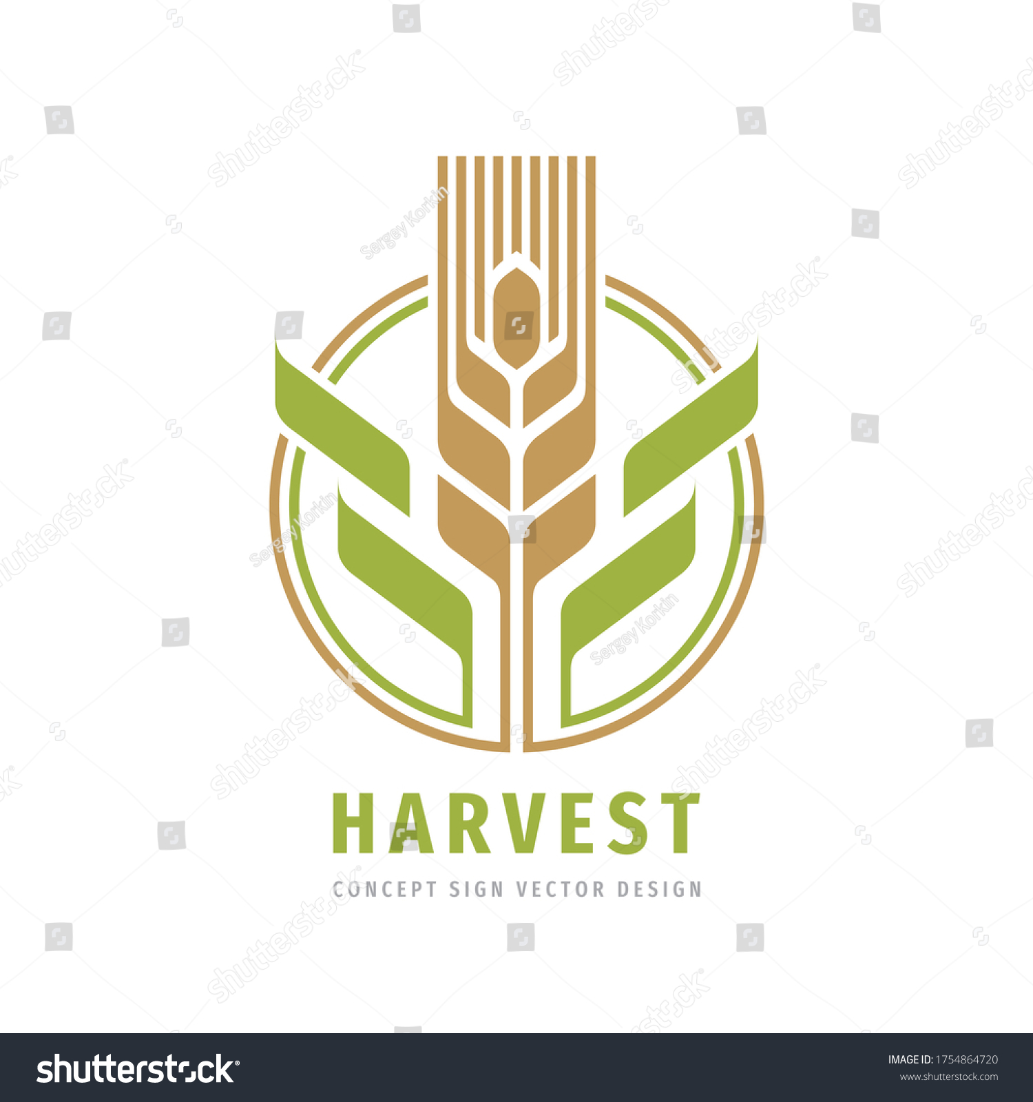 Harvest Grain Crop Cereal Logo Template Stock Vector (Royalty Free ...