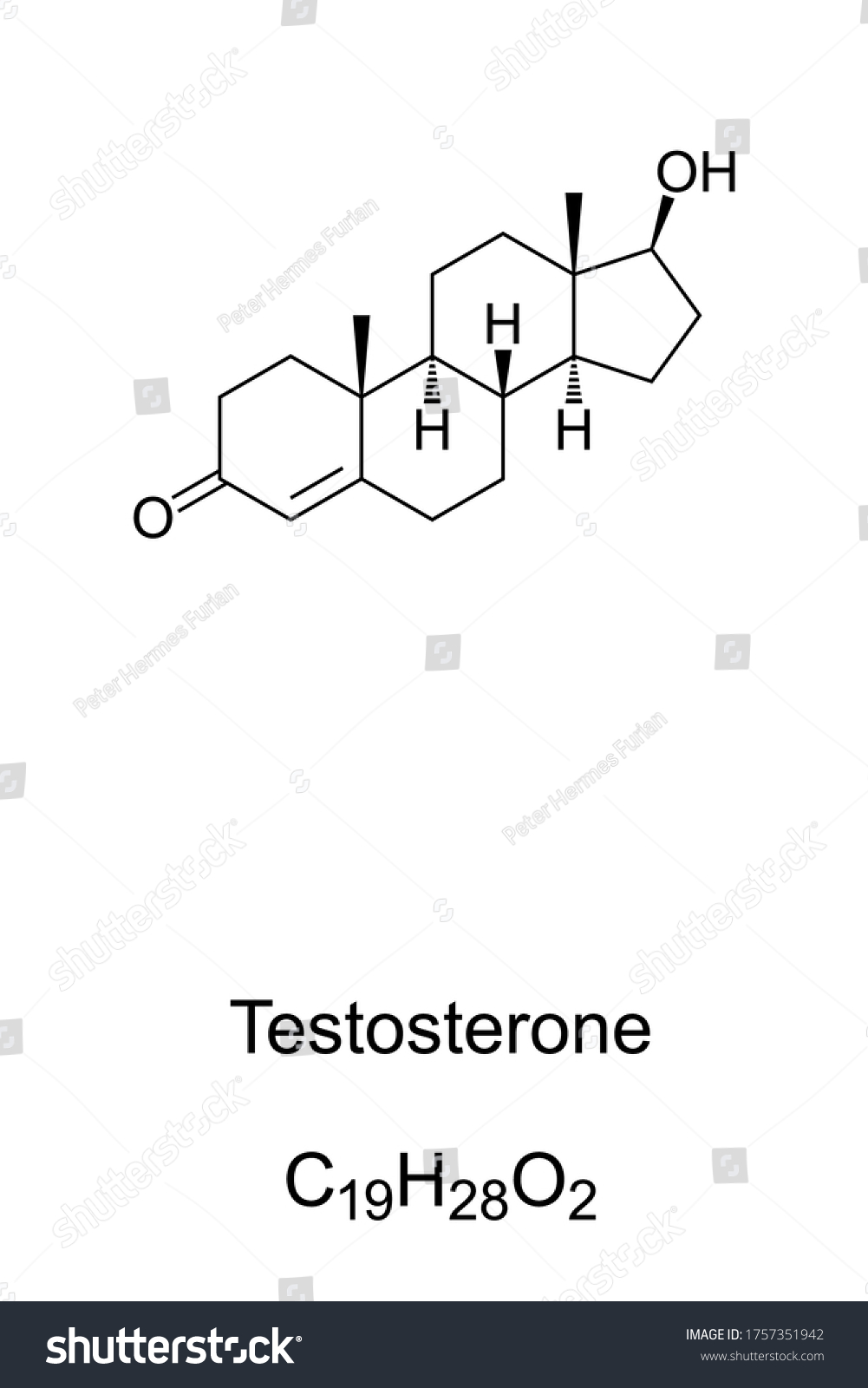 Testosterone Structural Formula Primary Male Sex Stock Vector Royalty