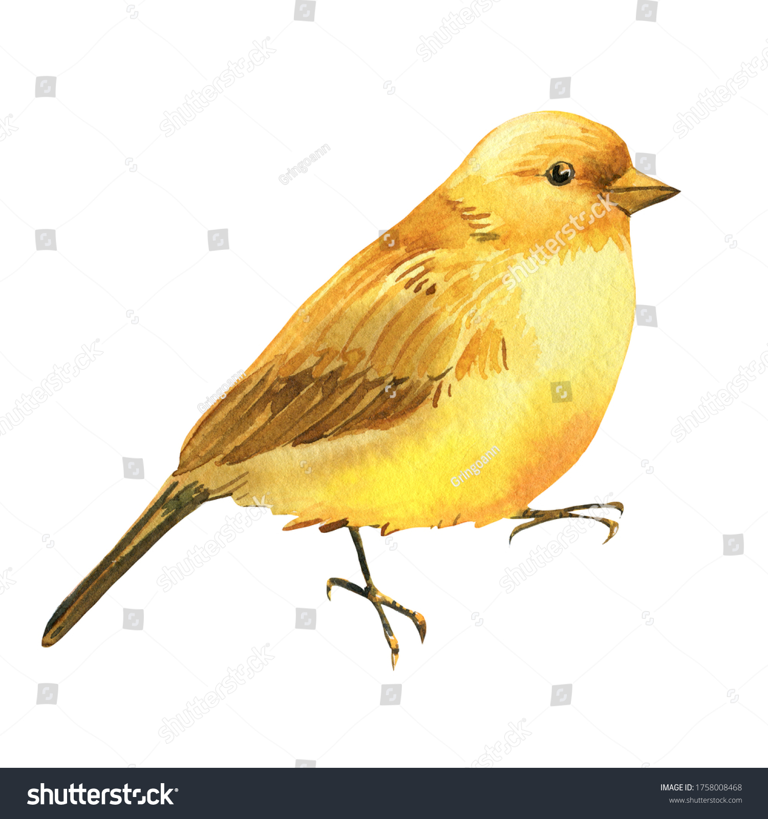 Фото птички желтой нарисованной