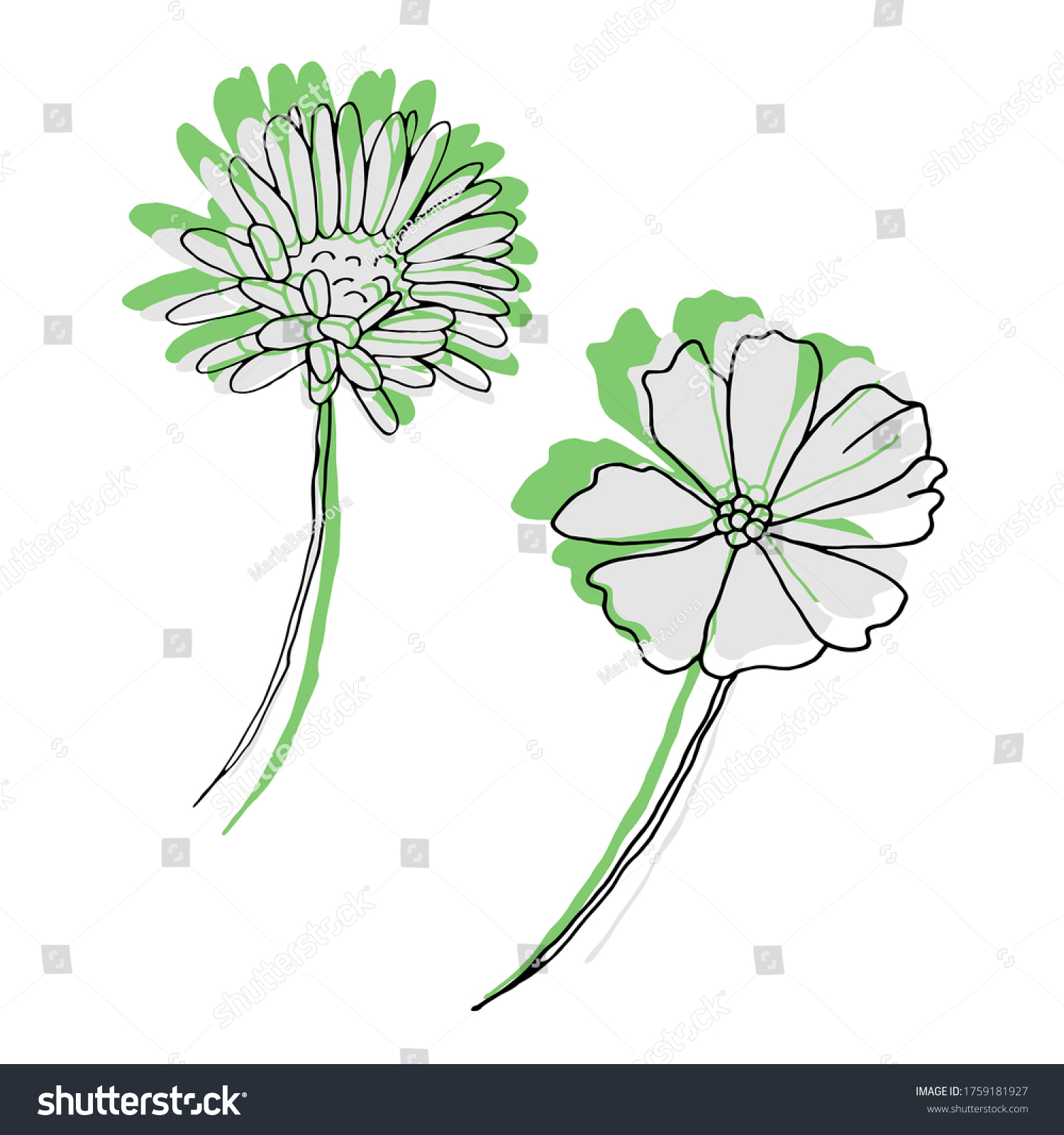 African Daisy Vector Floral Clipart Stock Vector (Royalty Free ...