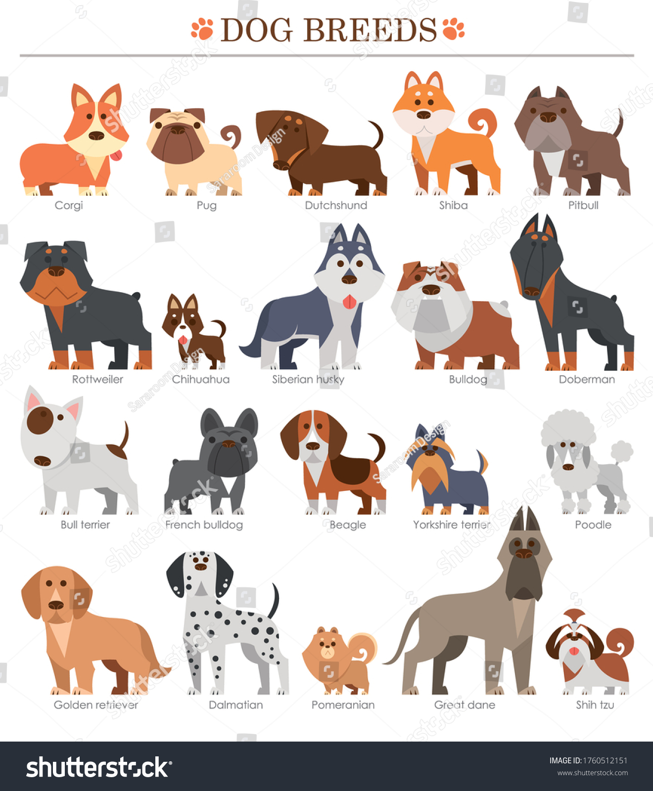 Vector Illustration Cartoon Dogs Breeds Set Stock Vector (Royalty Free ...