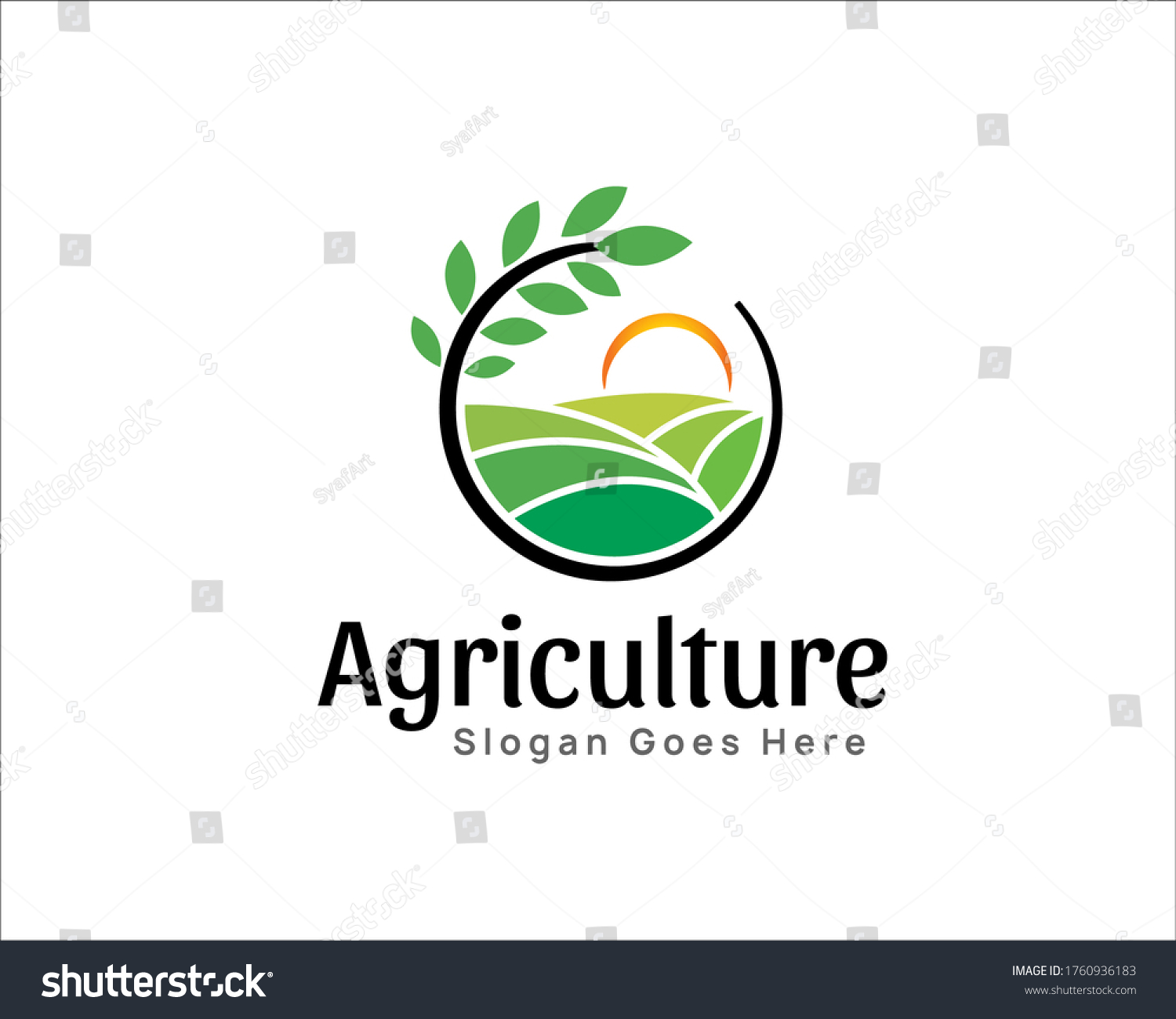 Agriculture Wheat Rice Green Farm Logo Stock Vector (Royalty Free ...