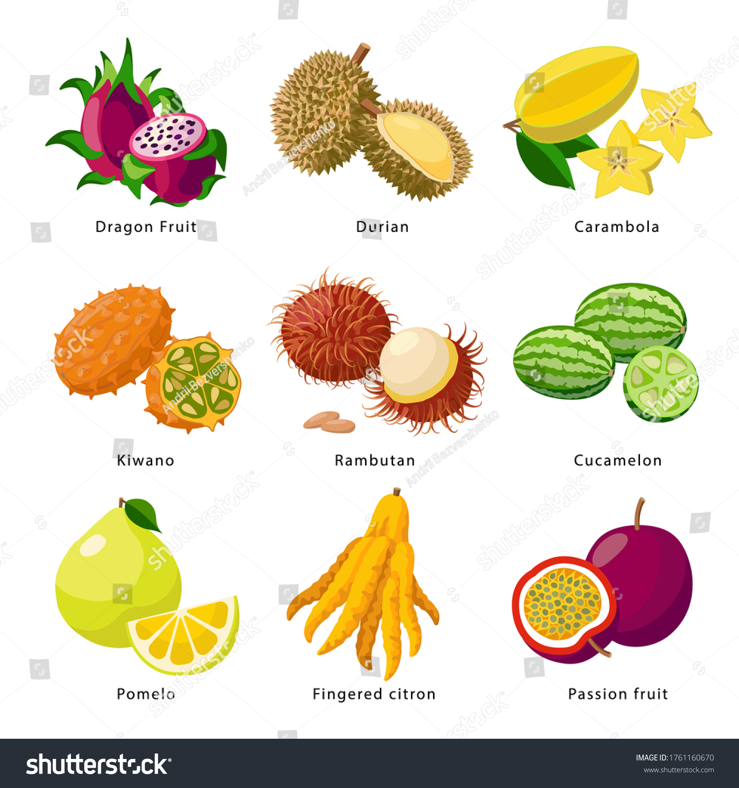 Exotic Fruits Icon Set Vector Detailed Stock Vector (Royalty Free ...