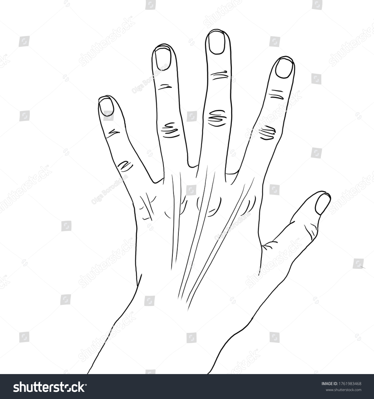 Outline Illustration Back Open Hand Five Stock Illustration 1761983468 